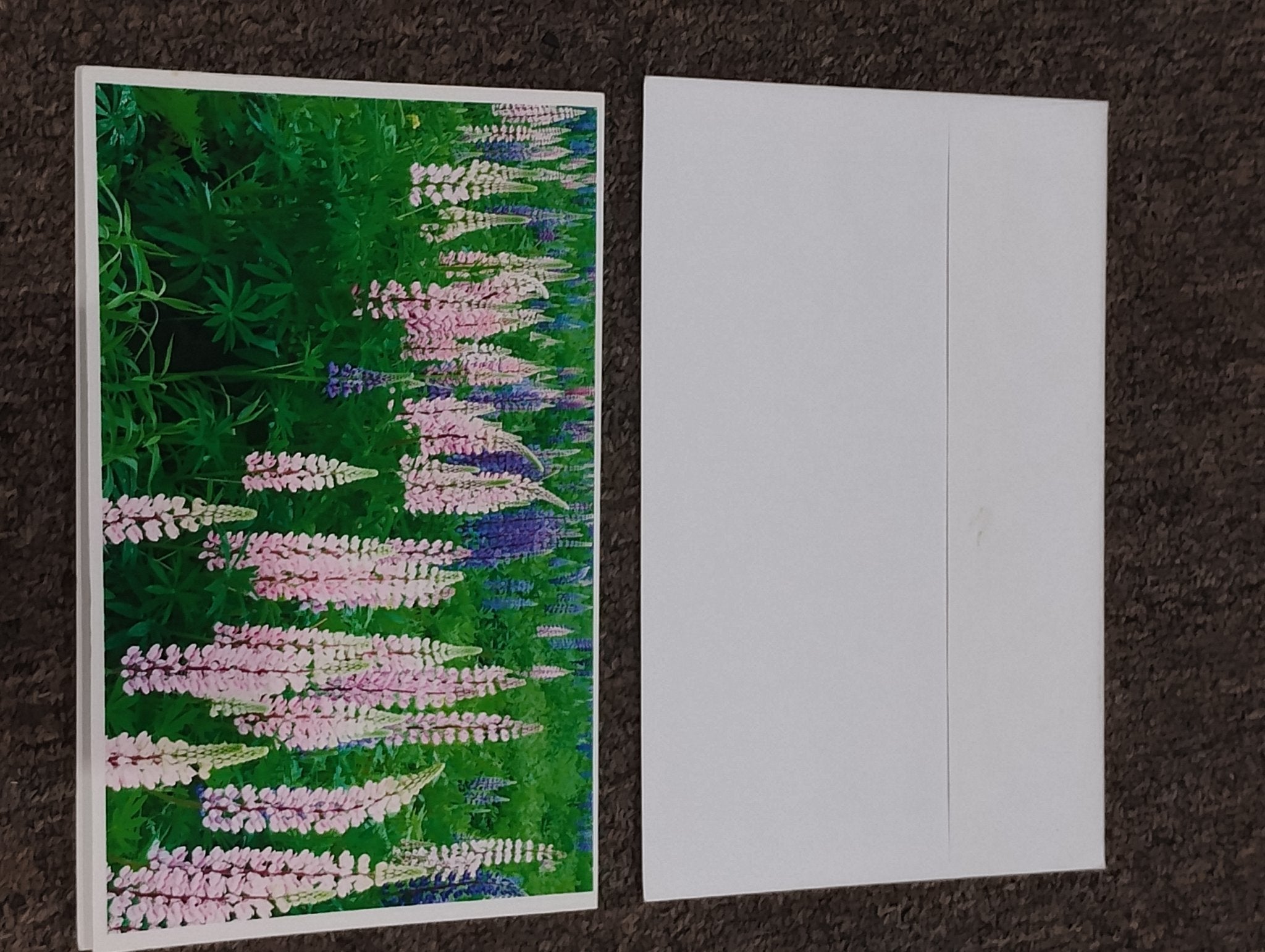 5x7" photo card w envelope