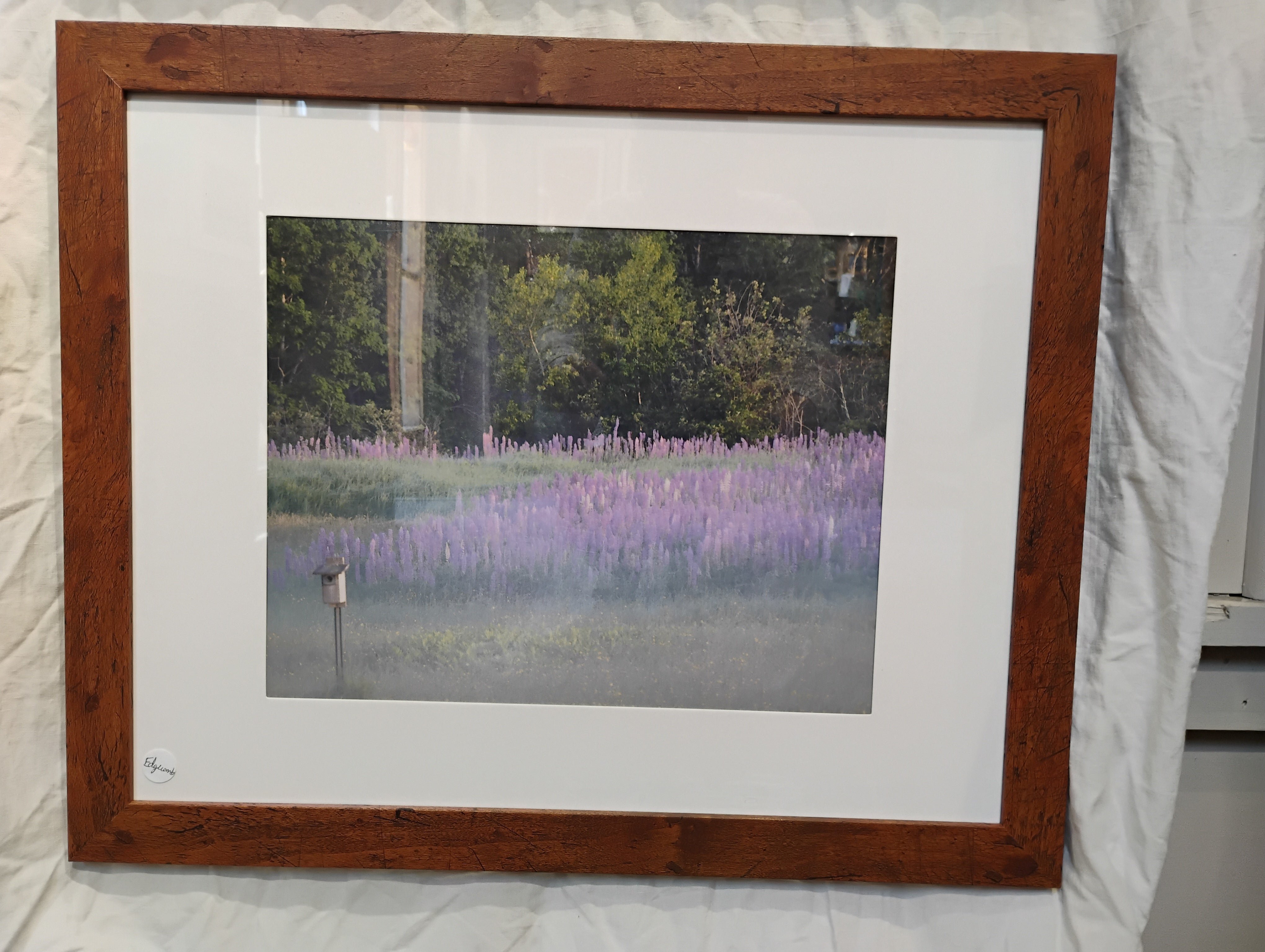 Edgecomb Lupines Framed 11x13" (14x17" total)