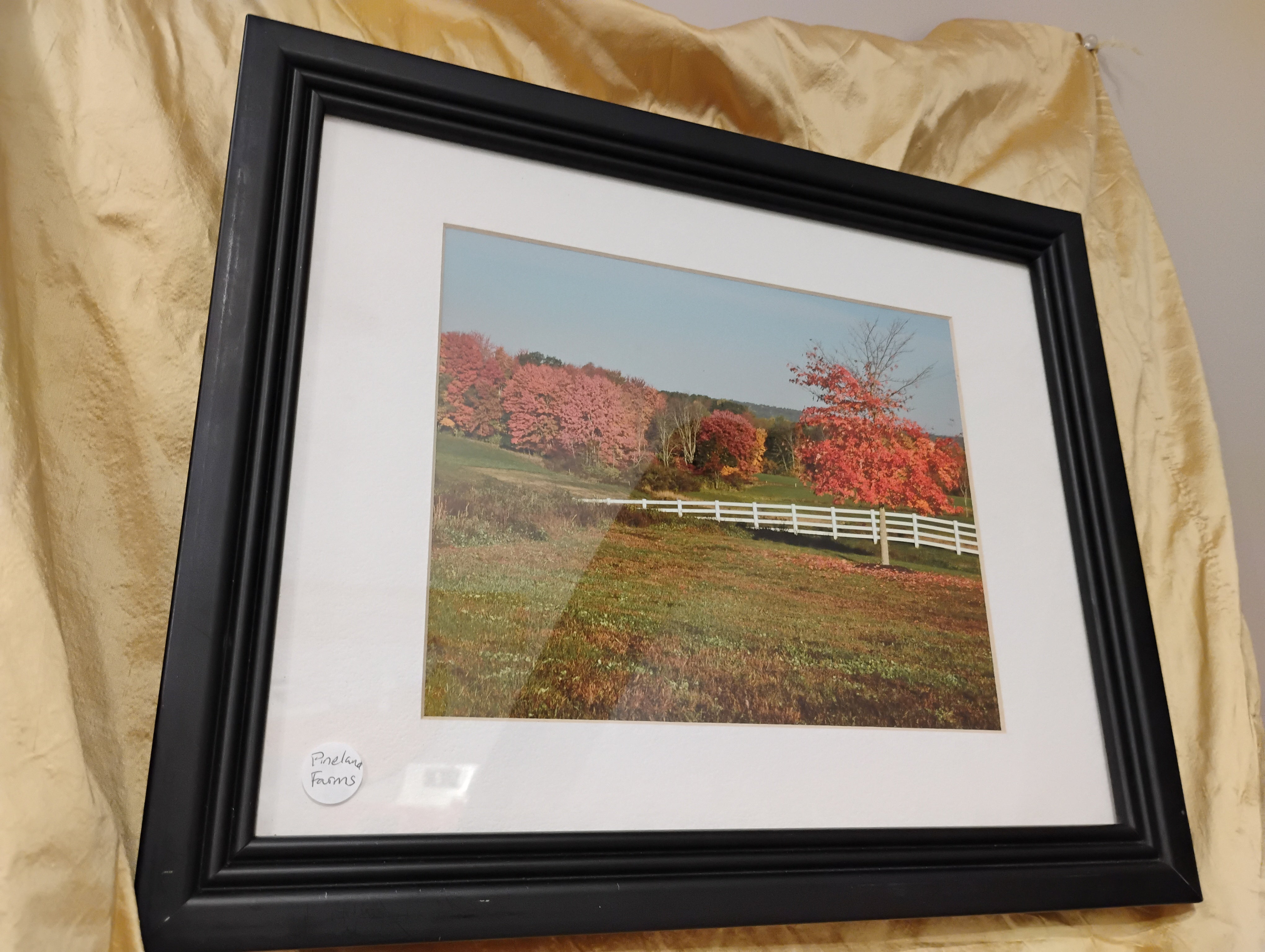 Midpoint Framed Matted 8x10" print