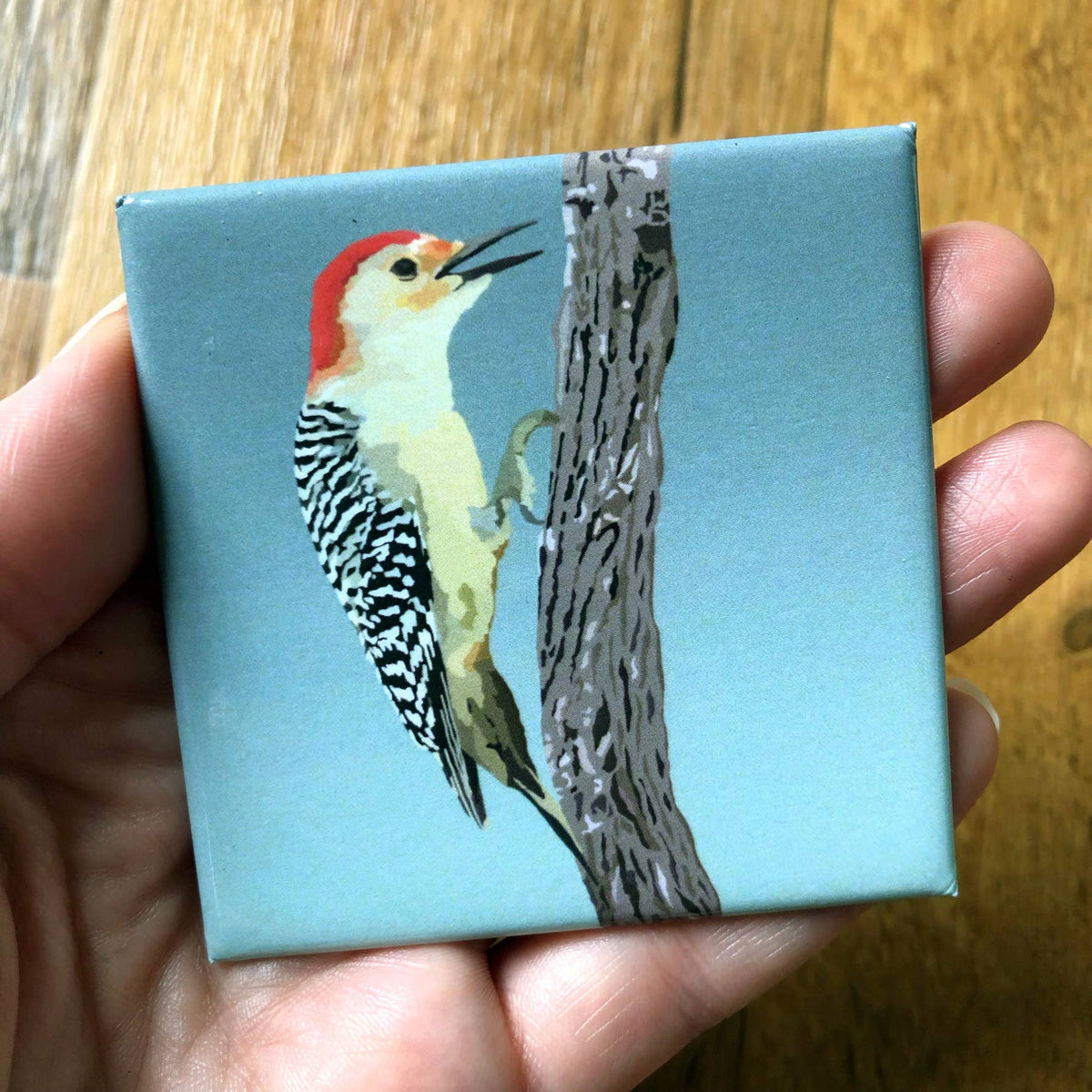 Red-bellied Woodpecker Acrylic Magnet