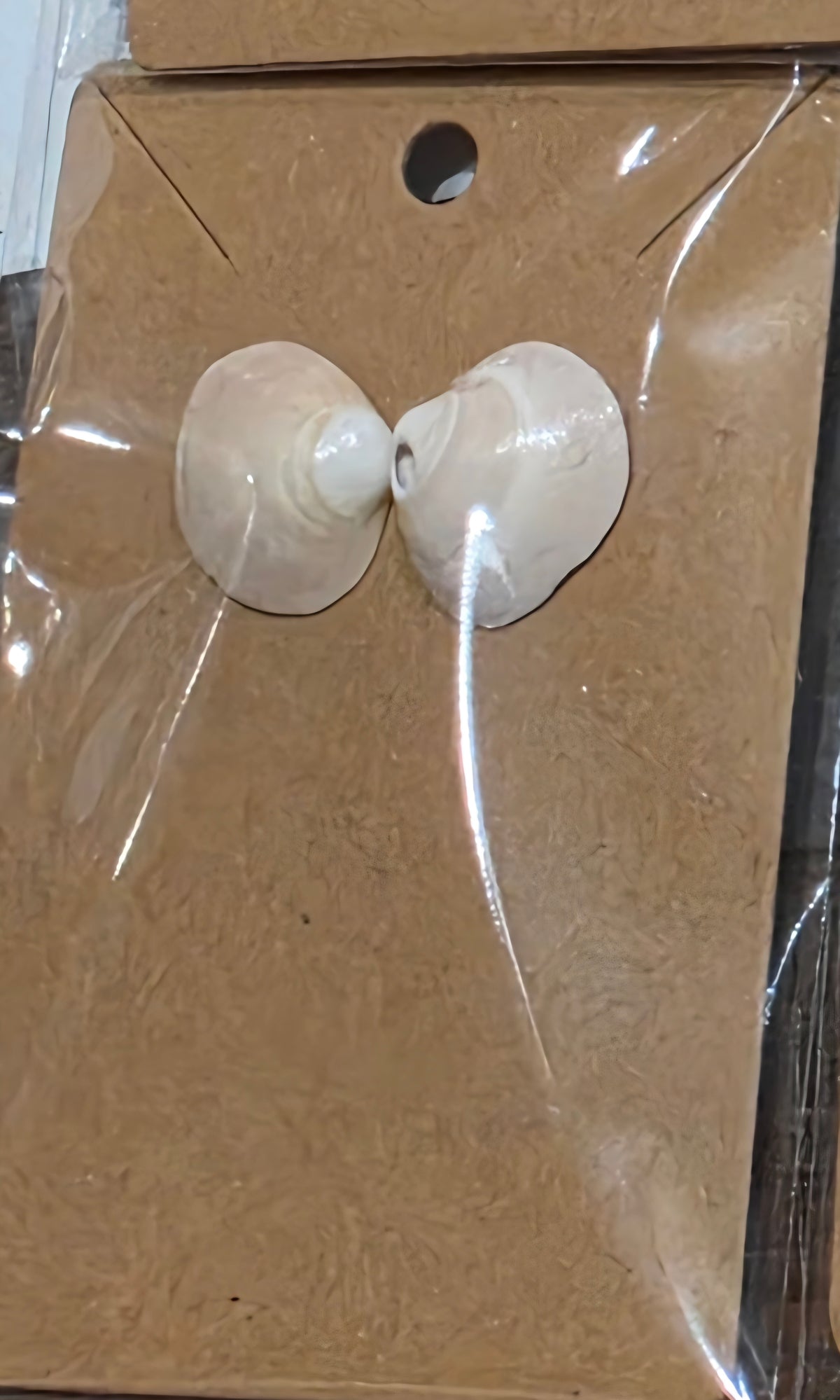 Tiny clam shell Studs by Tonya Arnold