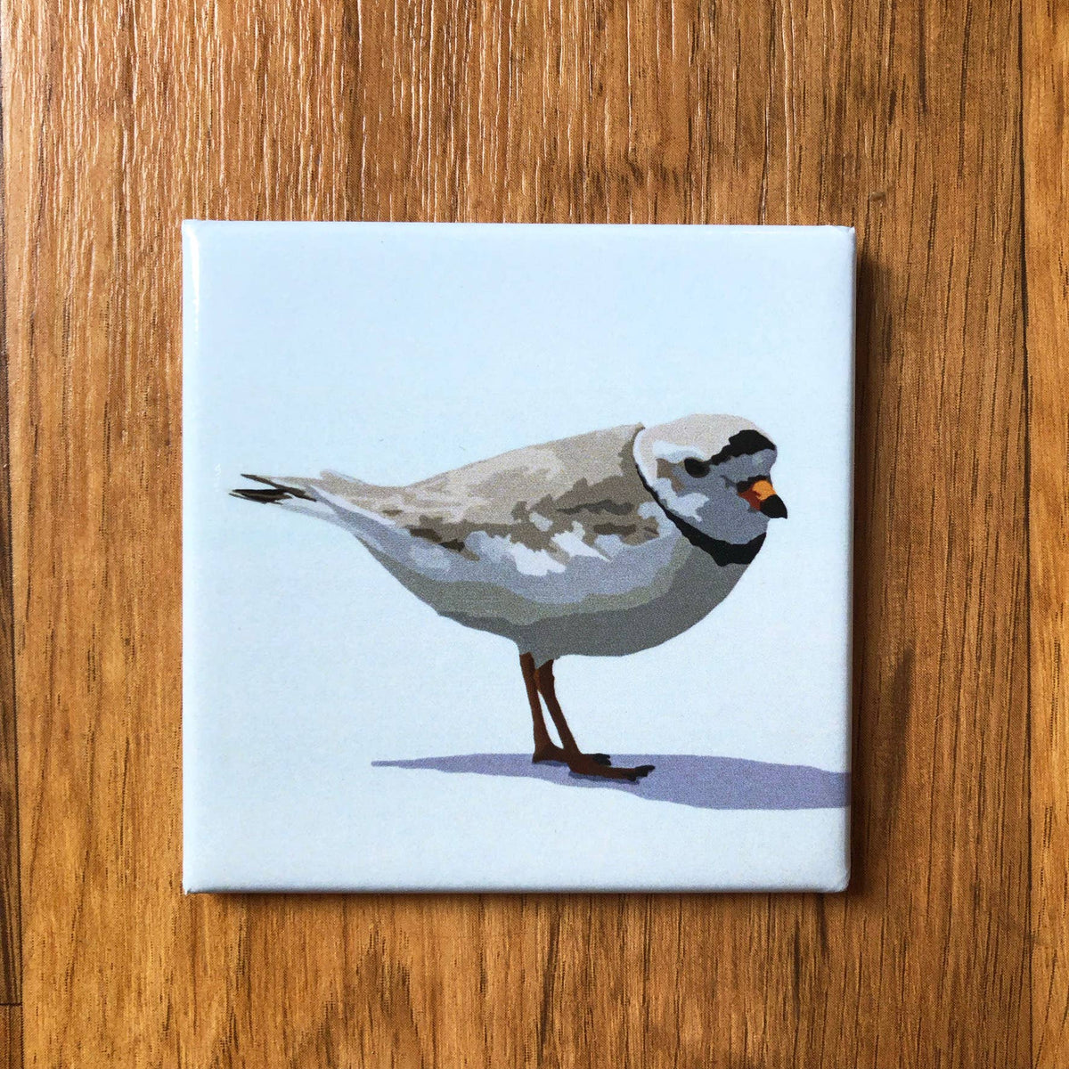 Piping Plover Acrylic Magnet