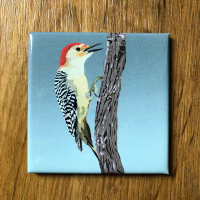 Red-bellied Woodpecker Acrylic Magnet