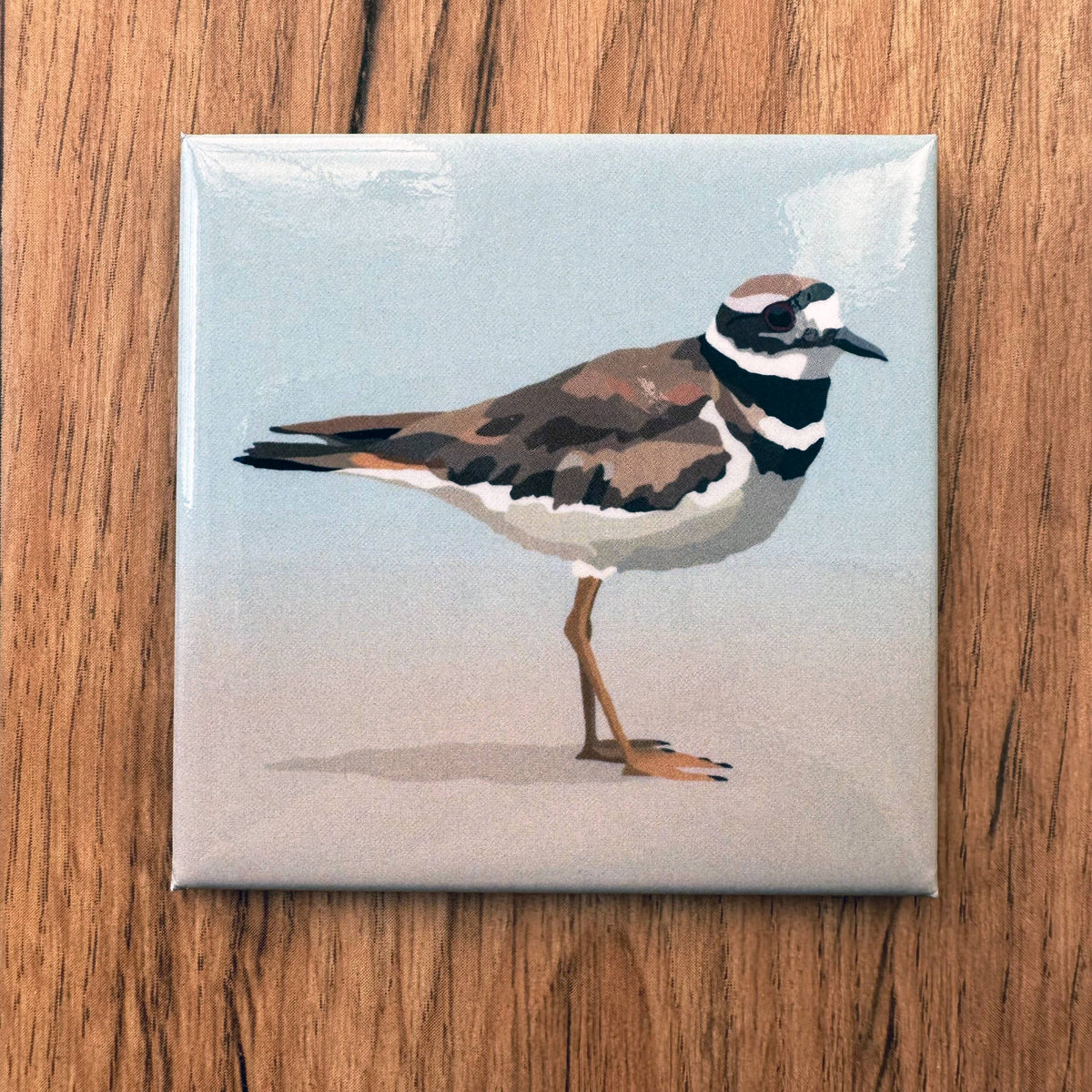 Killdeer Acrylic Magnet