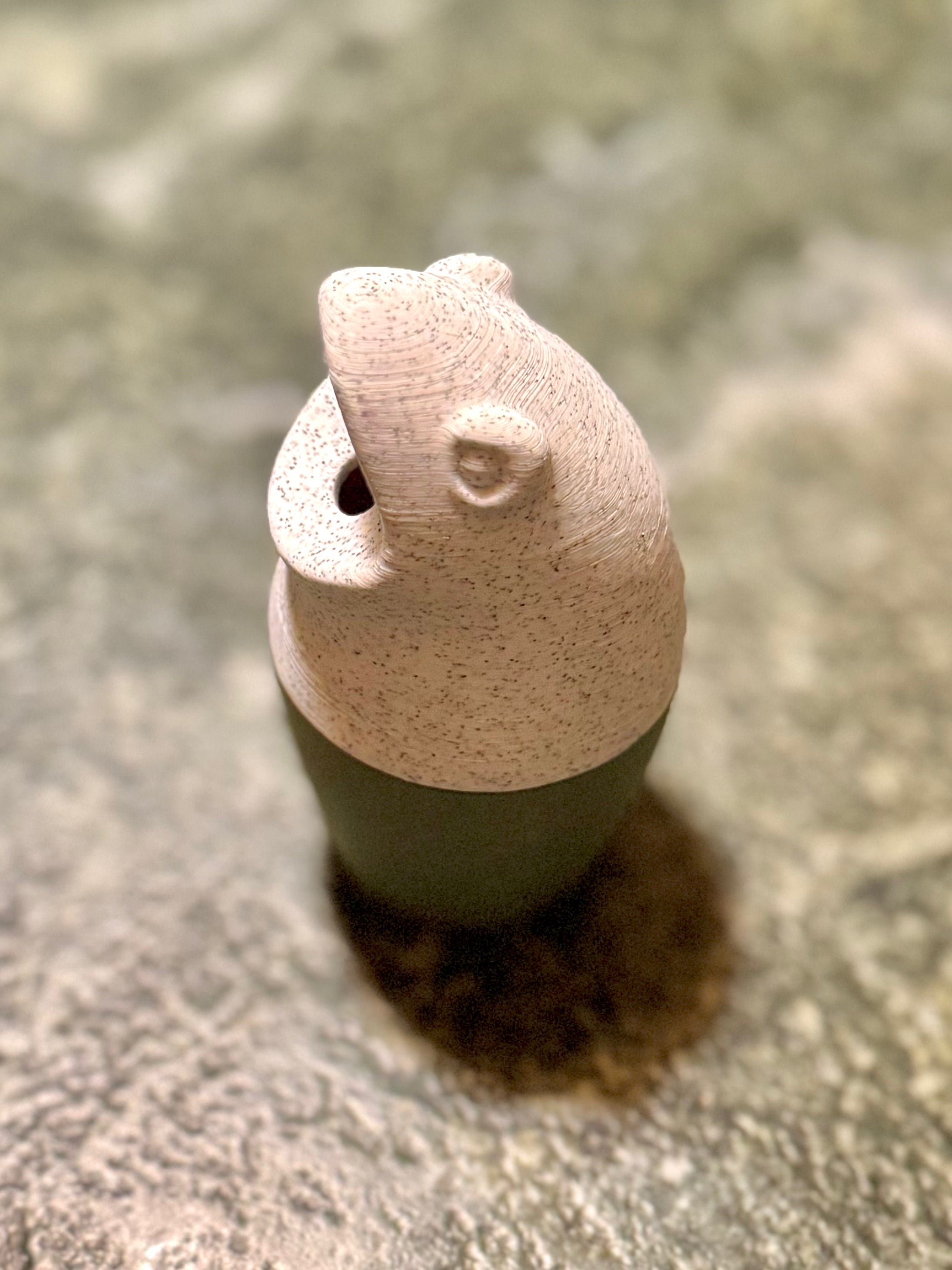 Frog Friend - Fly Catcher