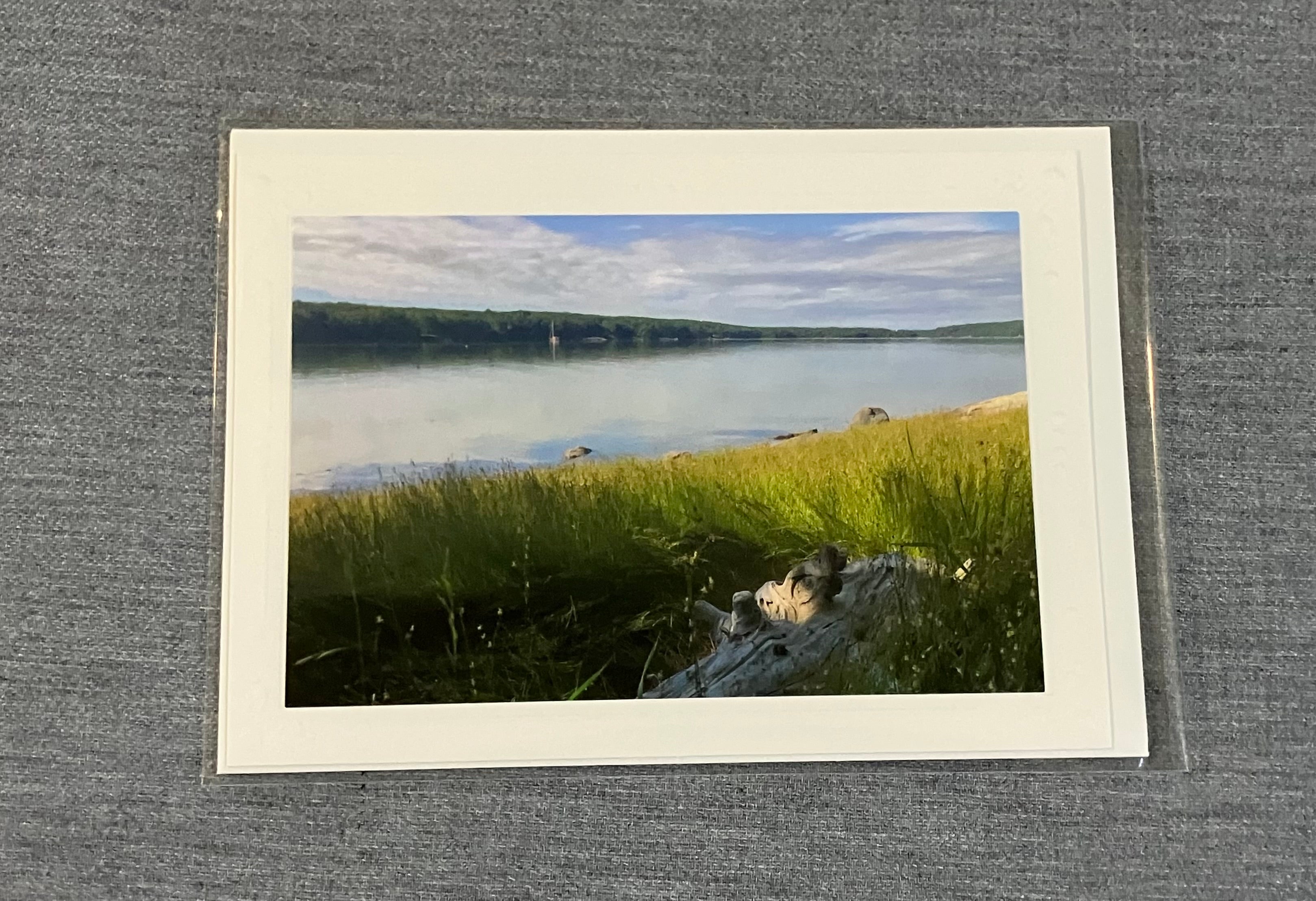 Picture card