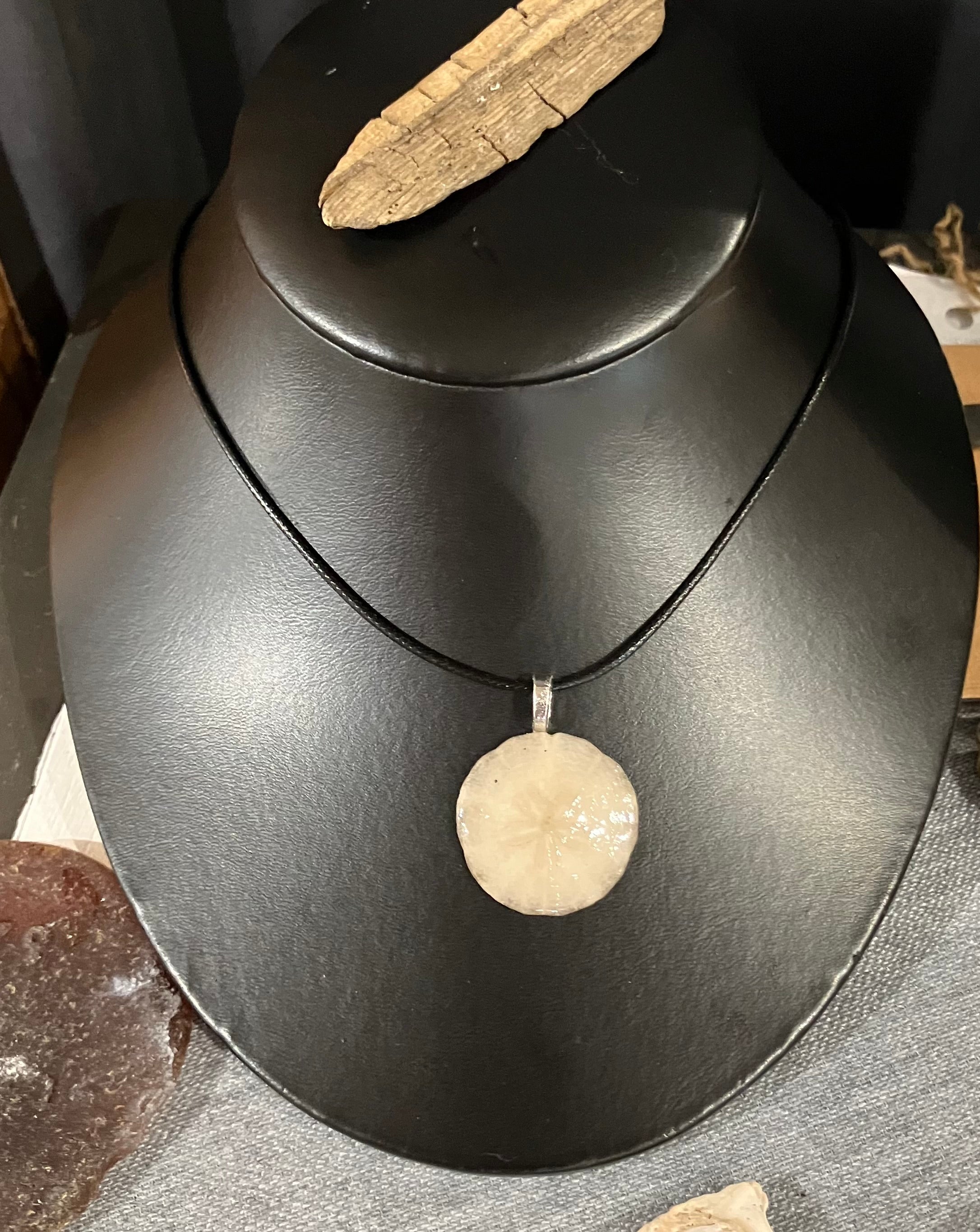 Sand dollar necklace black cord