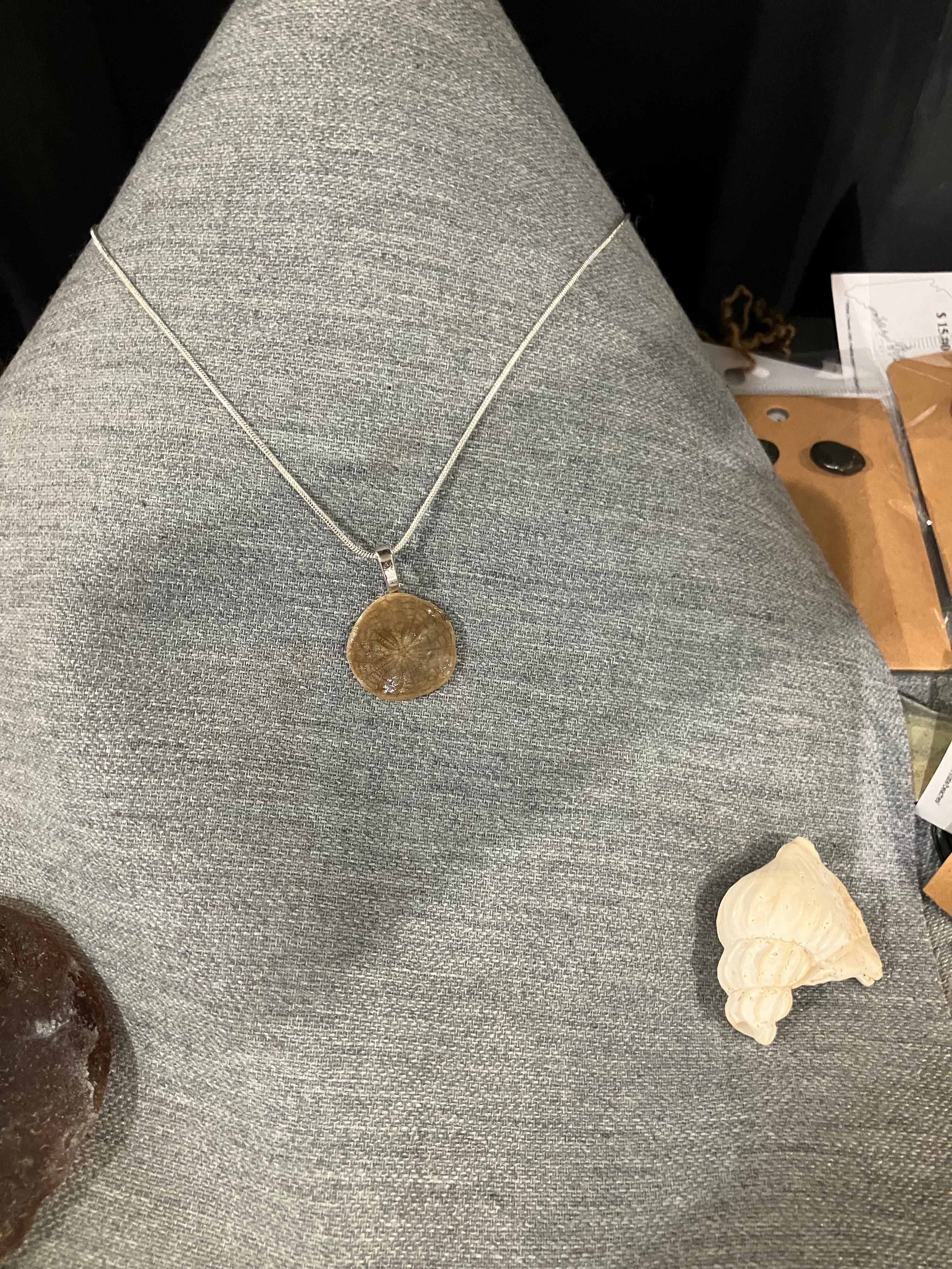 Sand dollar necklace on silver cord-small