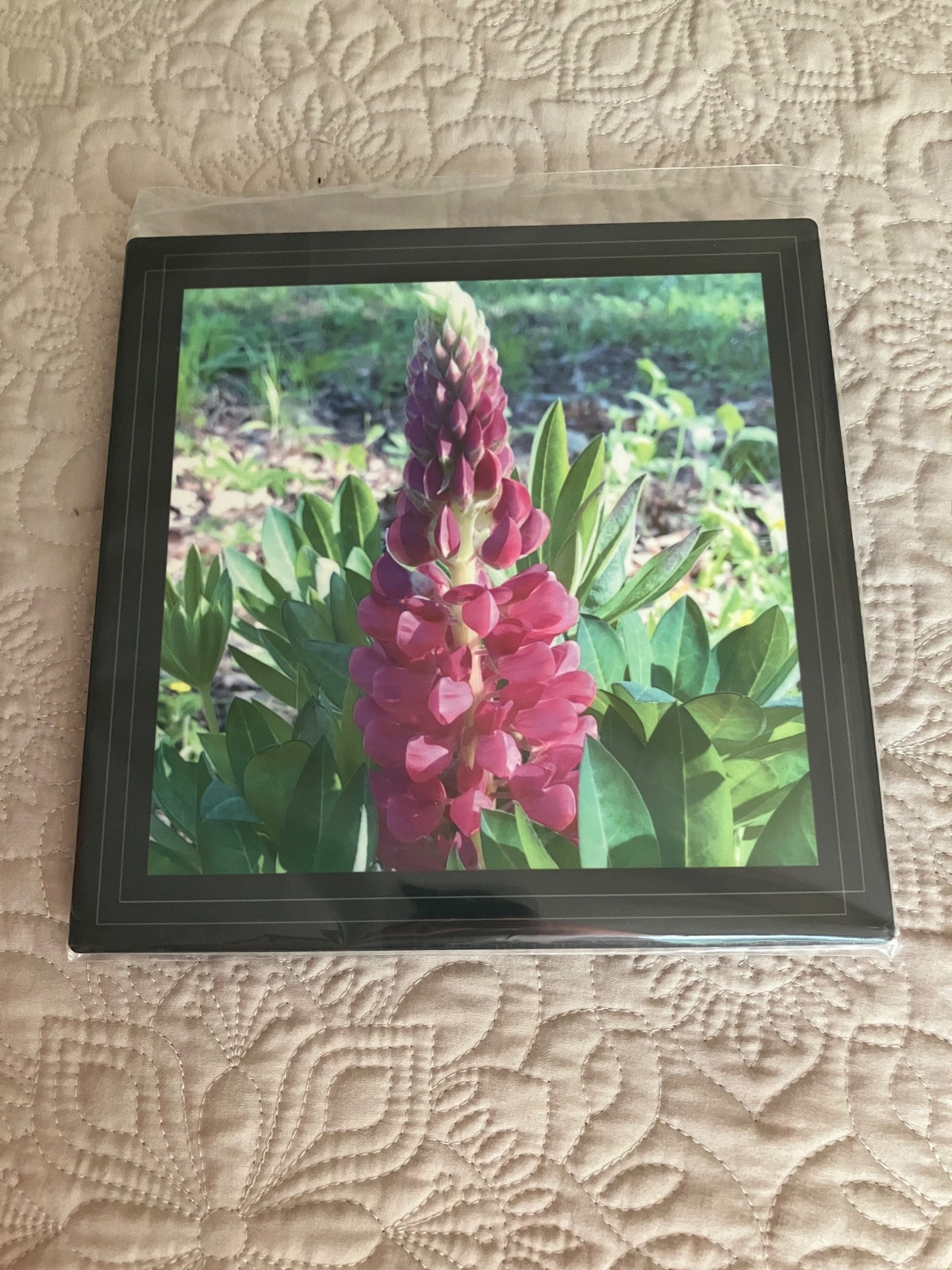 Original/durable - lupine by Tonya Arnold