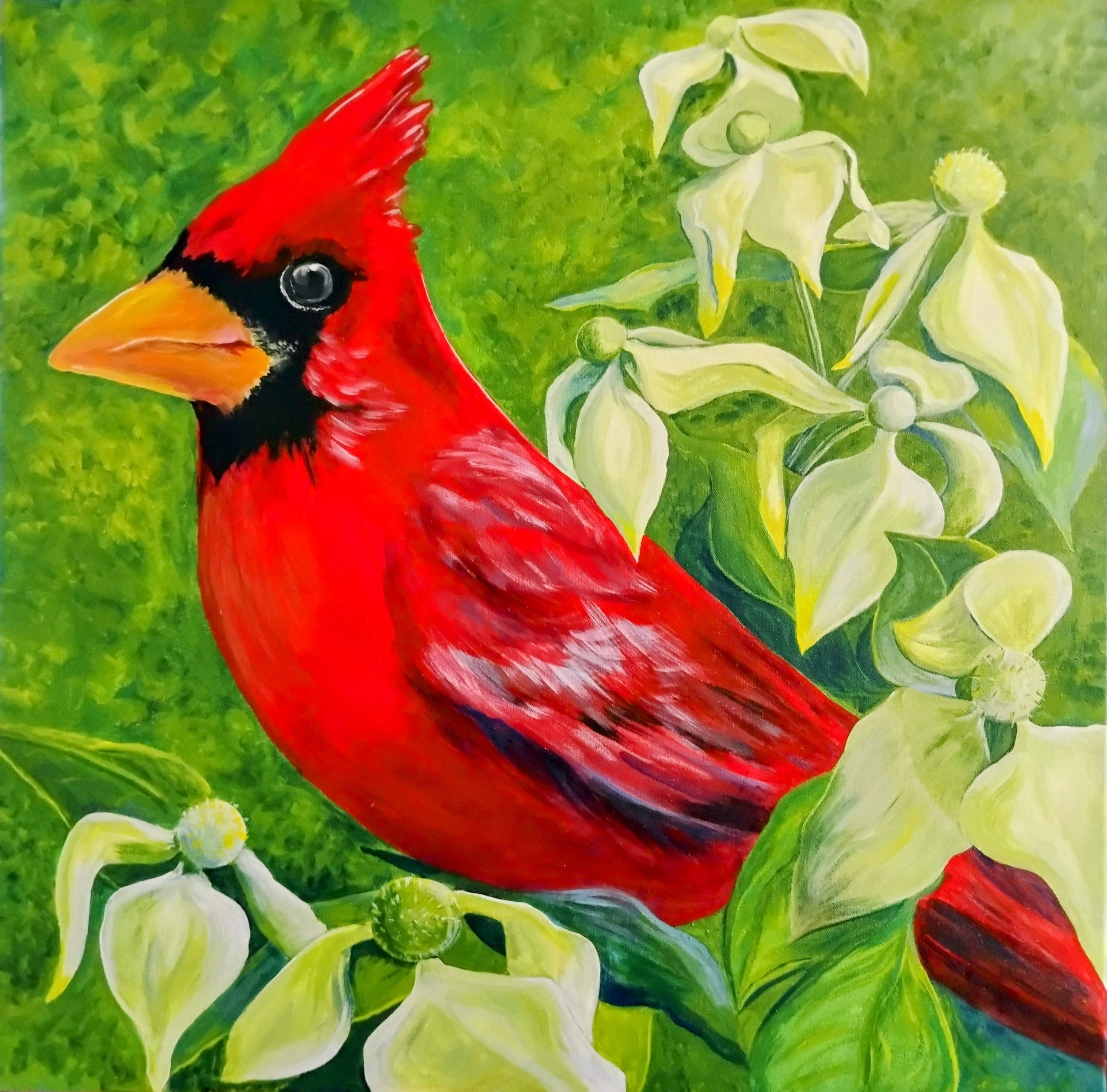 Cardinal and DogwoodAC