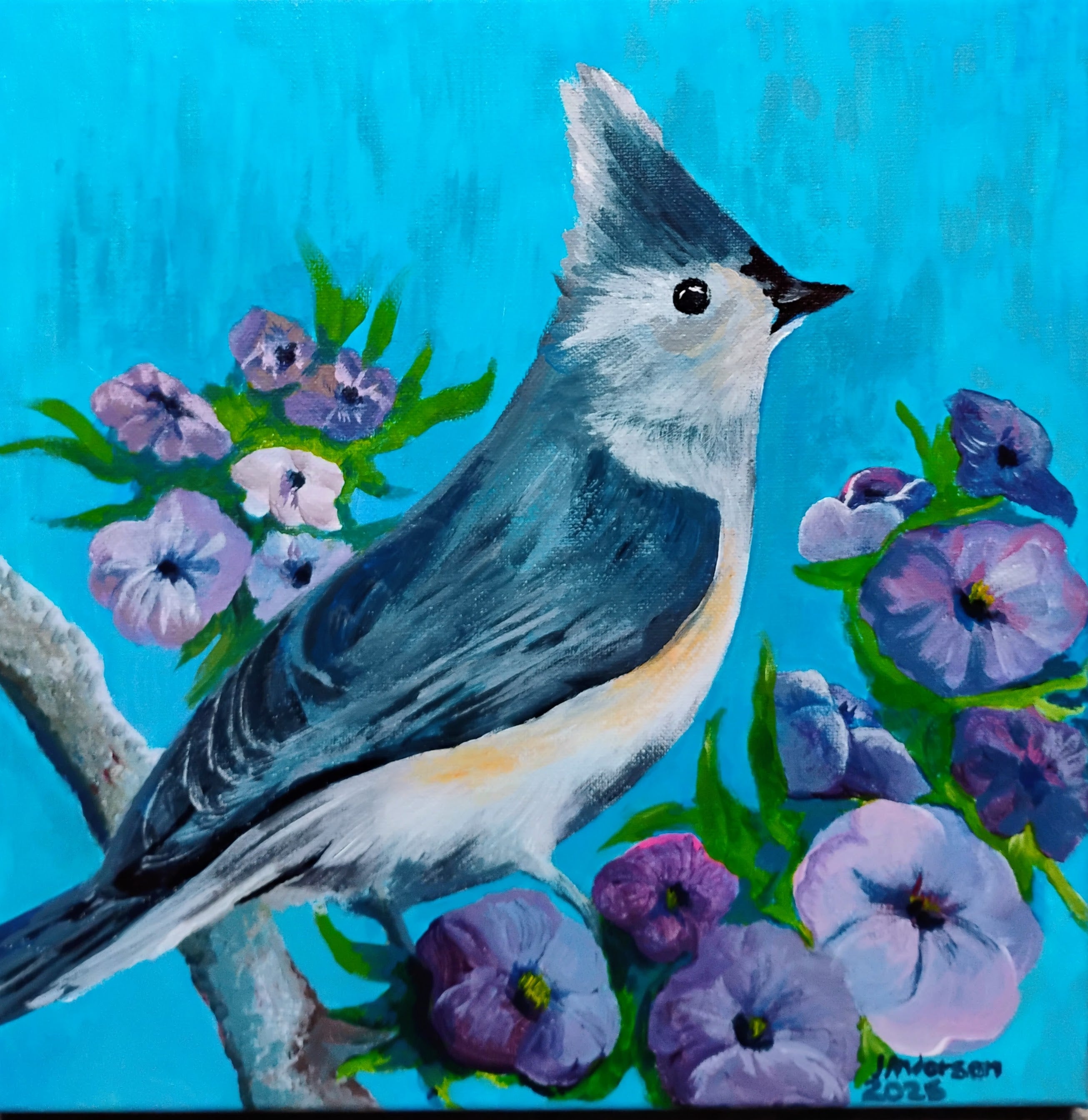 Tufted Titmouse and PansyAC