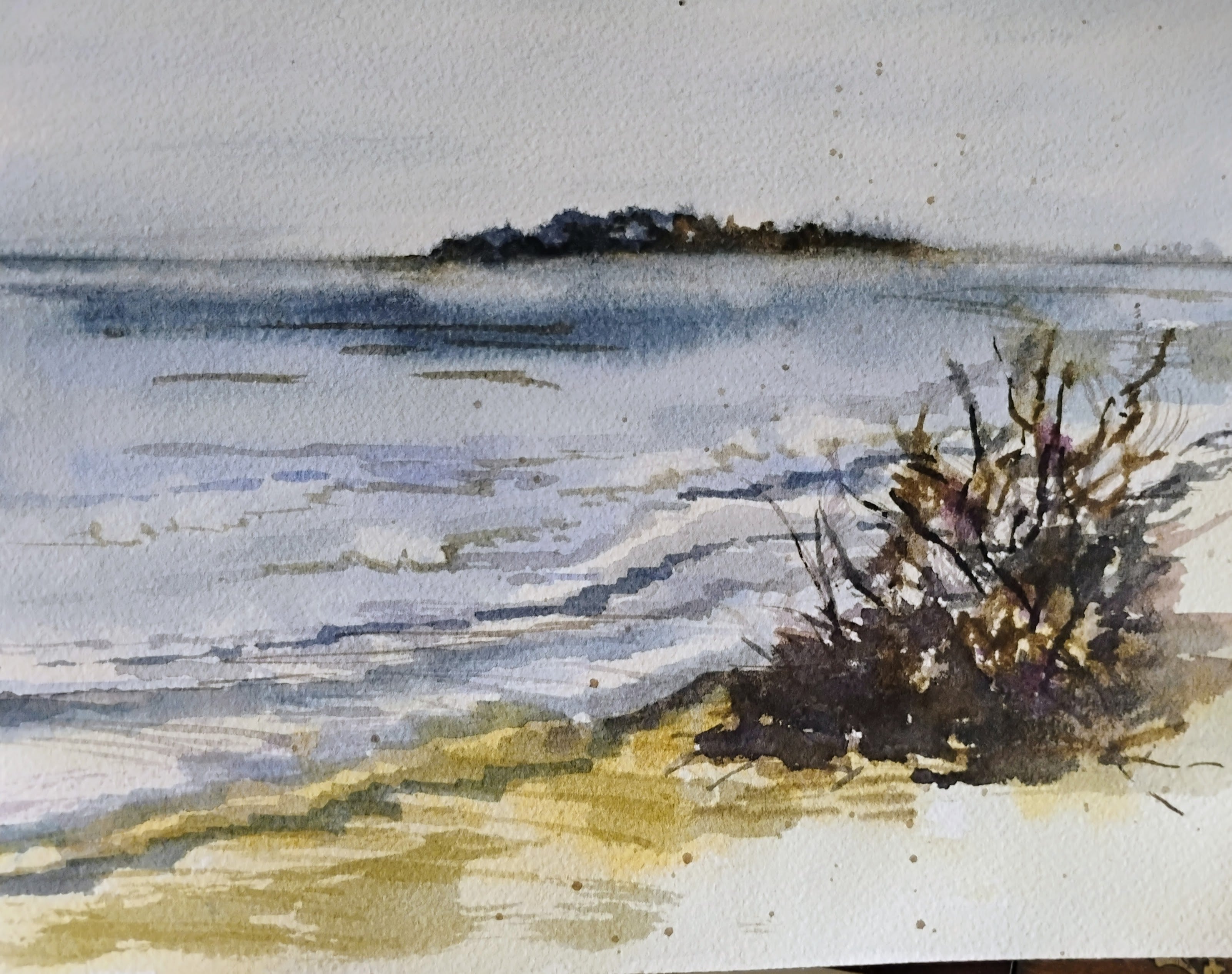 Print: Driftwood on PophamAC
