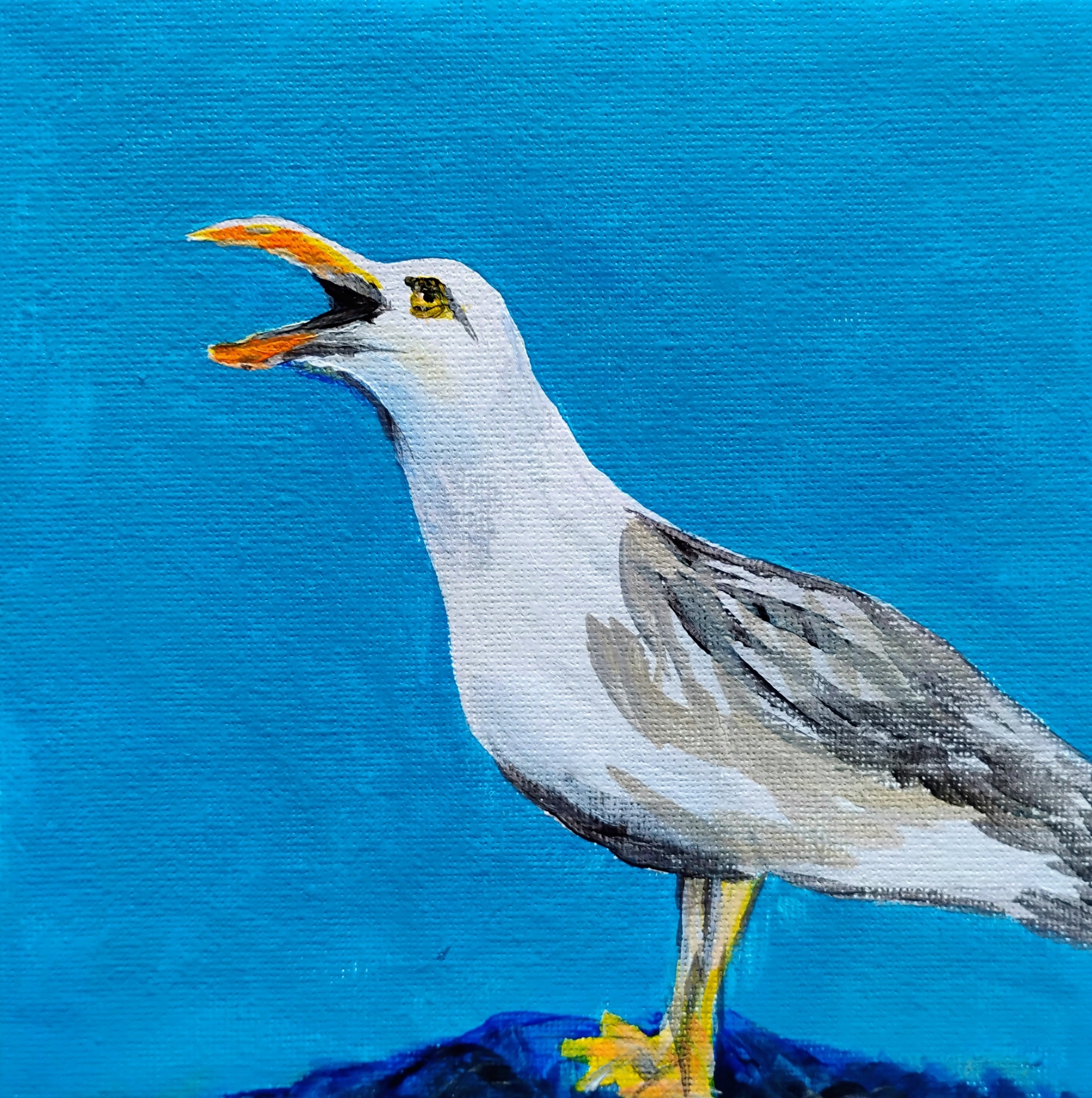 Squawking GullAC