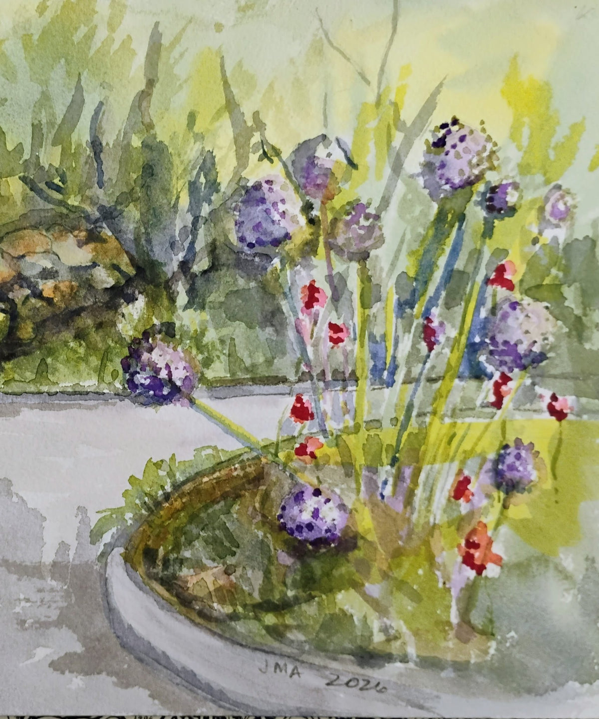 Botanical Gardens Ornamental Onions by Joyce Maura Anderson