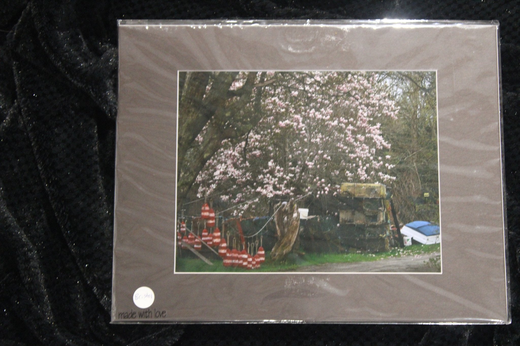 Magnolias Buoys and Boats 8x10"