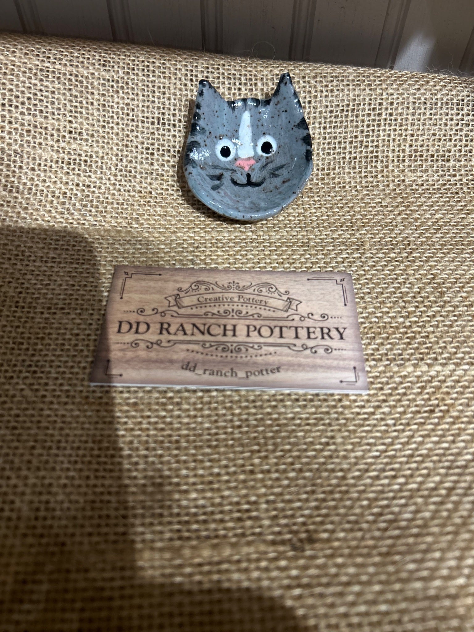 Charismatic cat 7