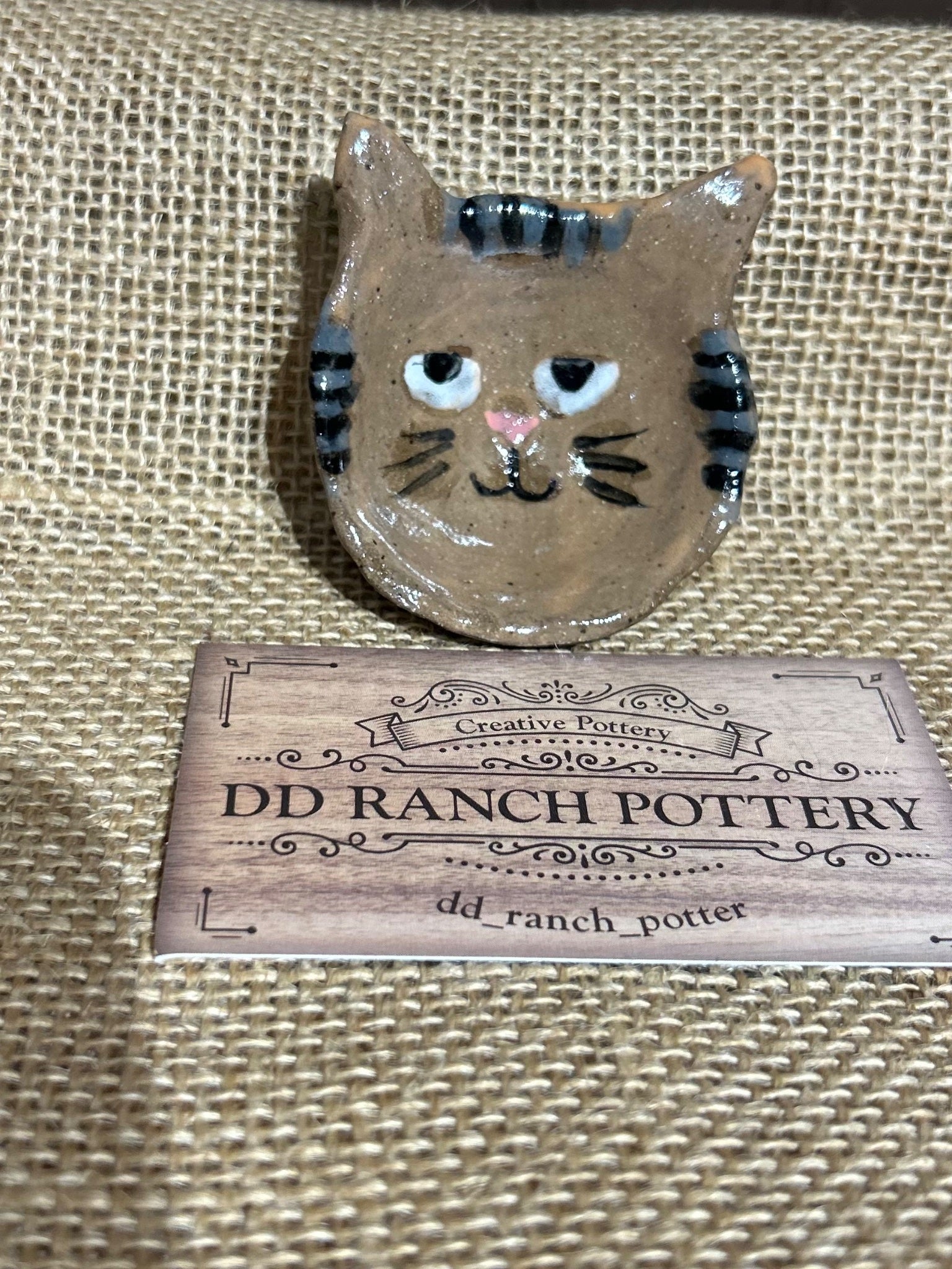 Charismatic cat 4