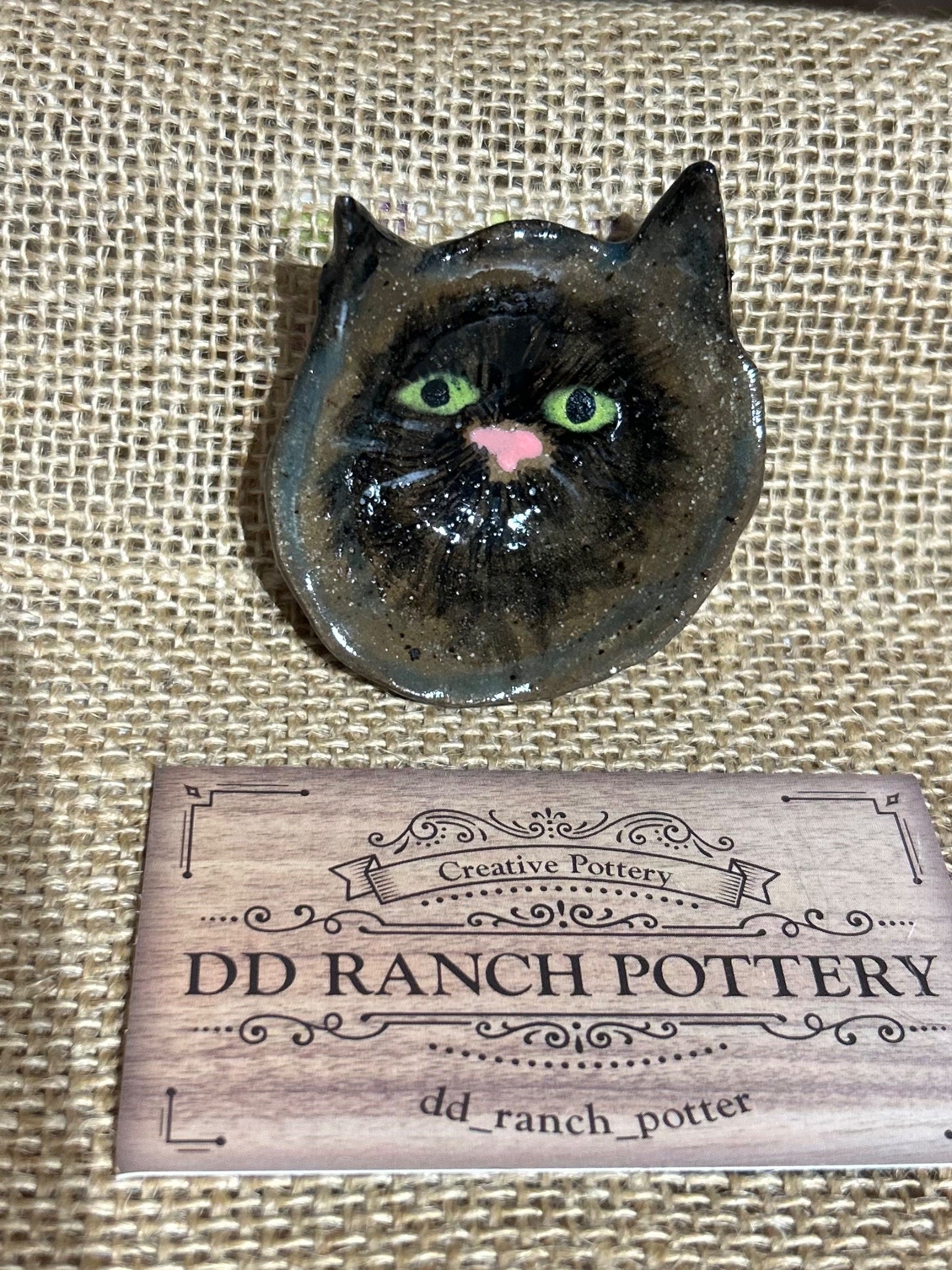 Charismatic cat 2
