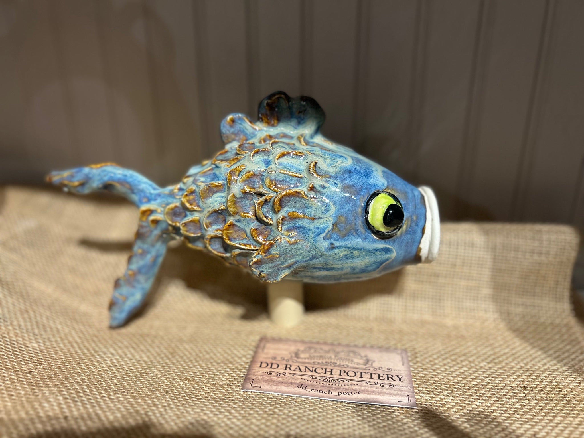 Fishy fishy!