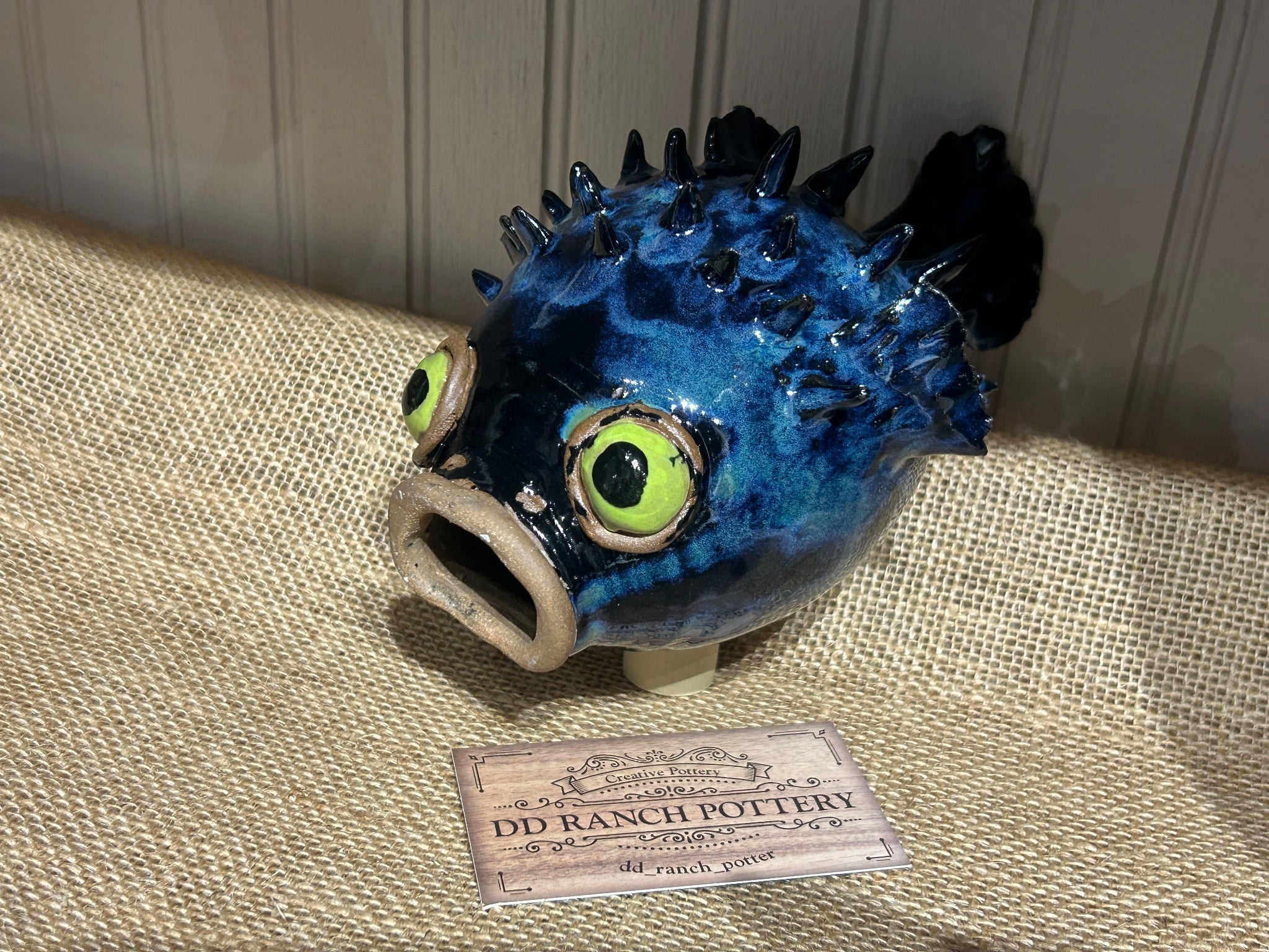 Blue puffer fish