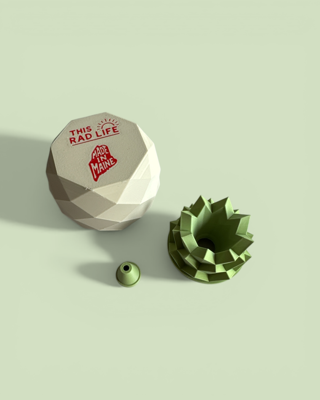 Pineapple Fruit Fly Trap