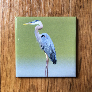 Lehoux Art Magnets by Lehoux Art