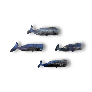 Small Whale by Stephen Lichtenstein