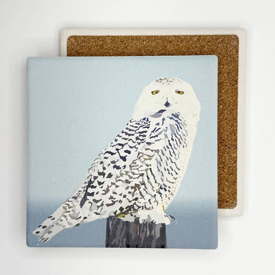 Snowy Owl Absorbent Coaster