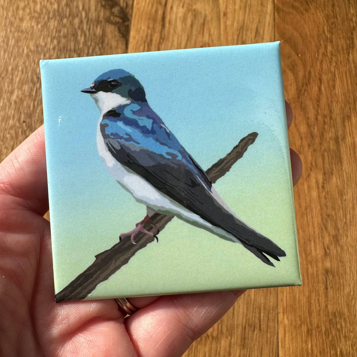 Tree Swallow Acrylic Magnet