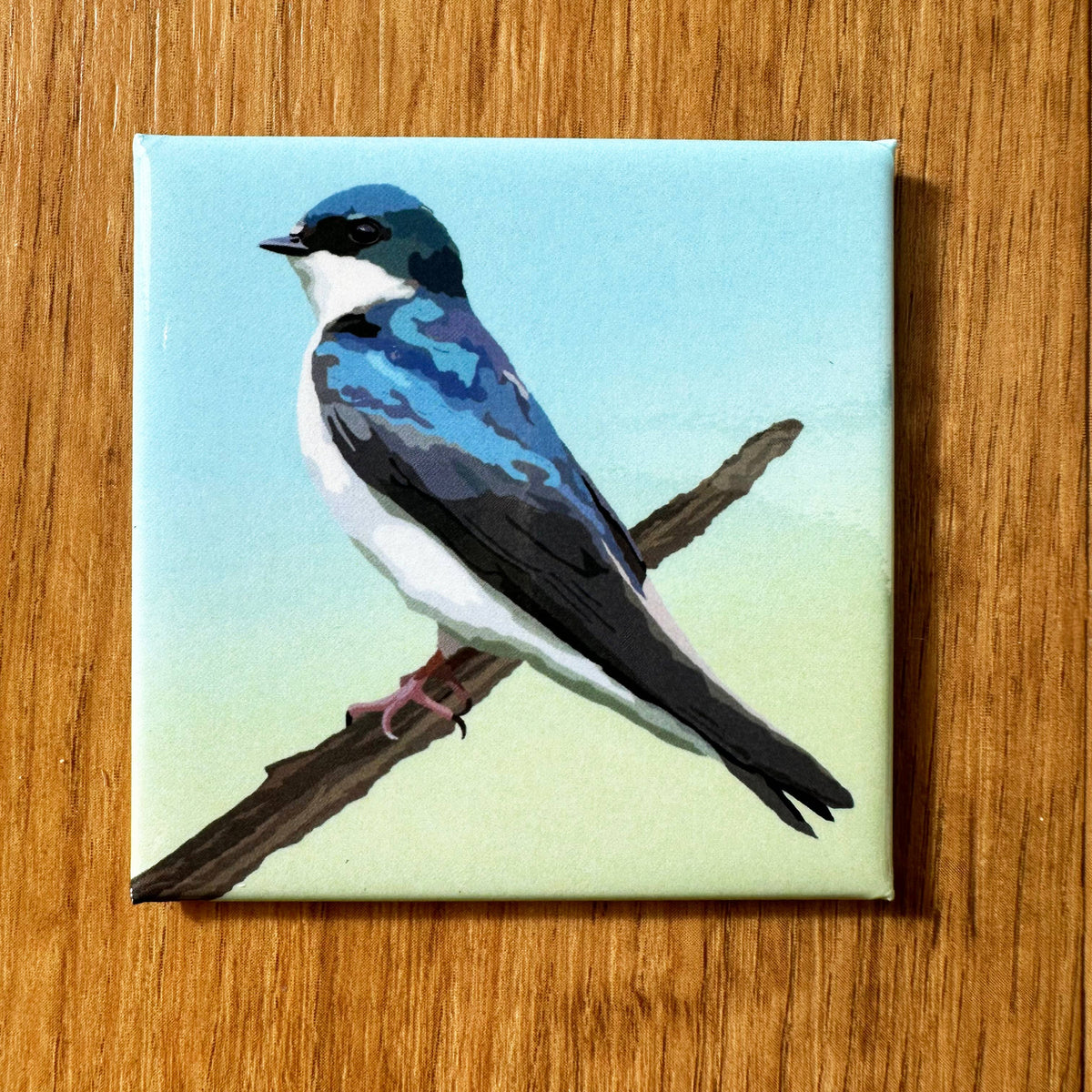 Tree Swallow Acrylic Magnet