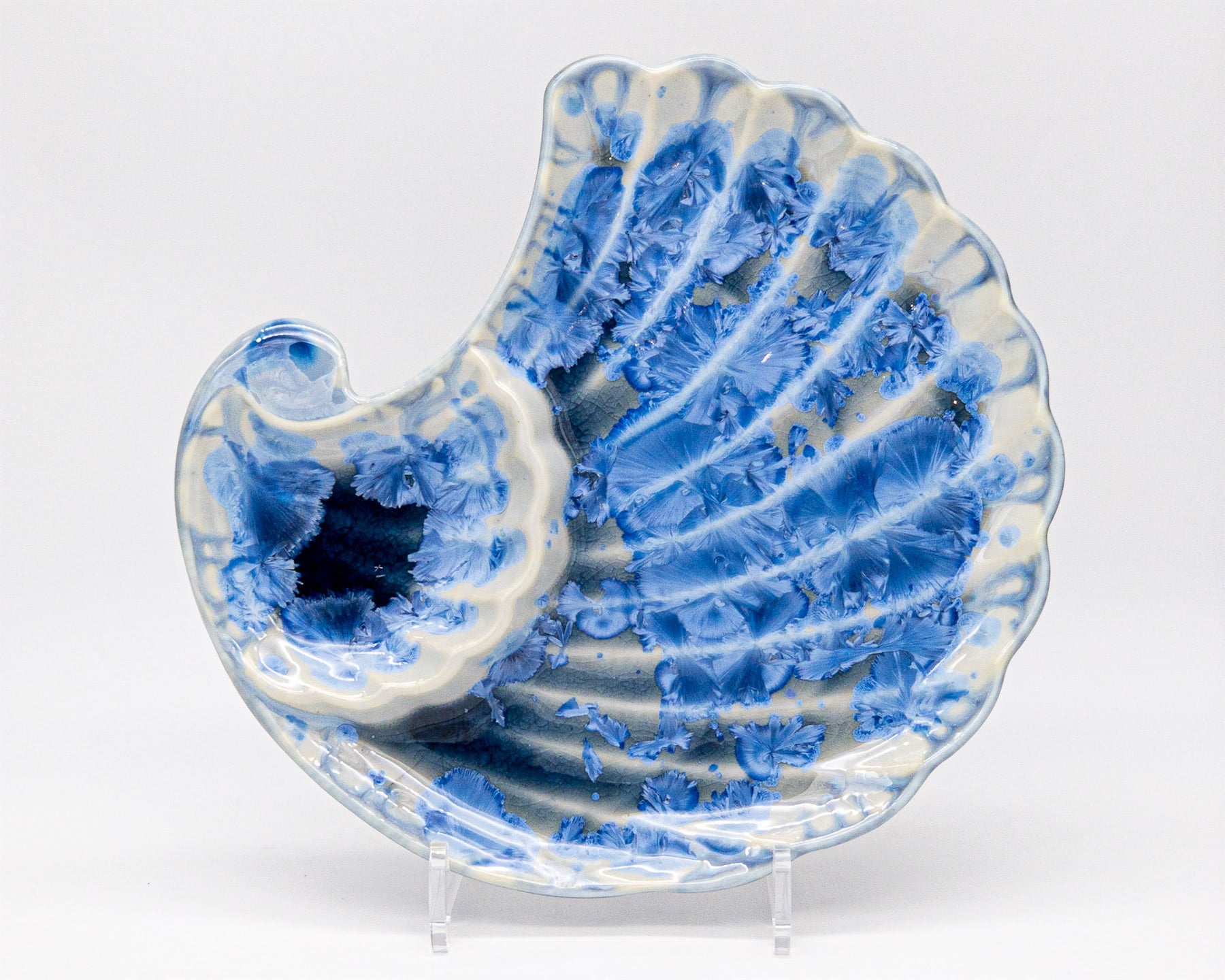 Shell Appetizer Plate