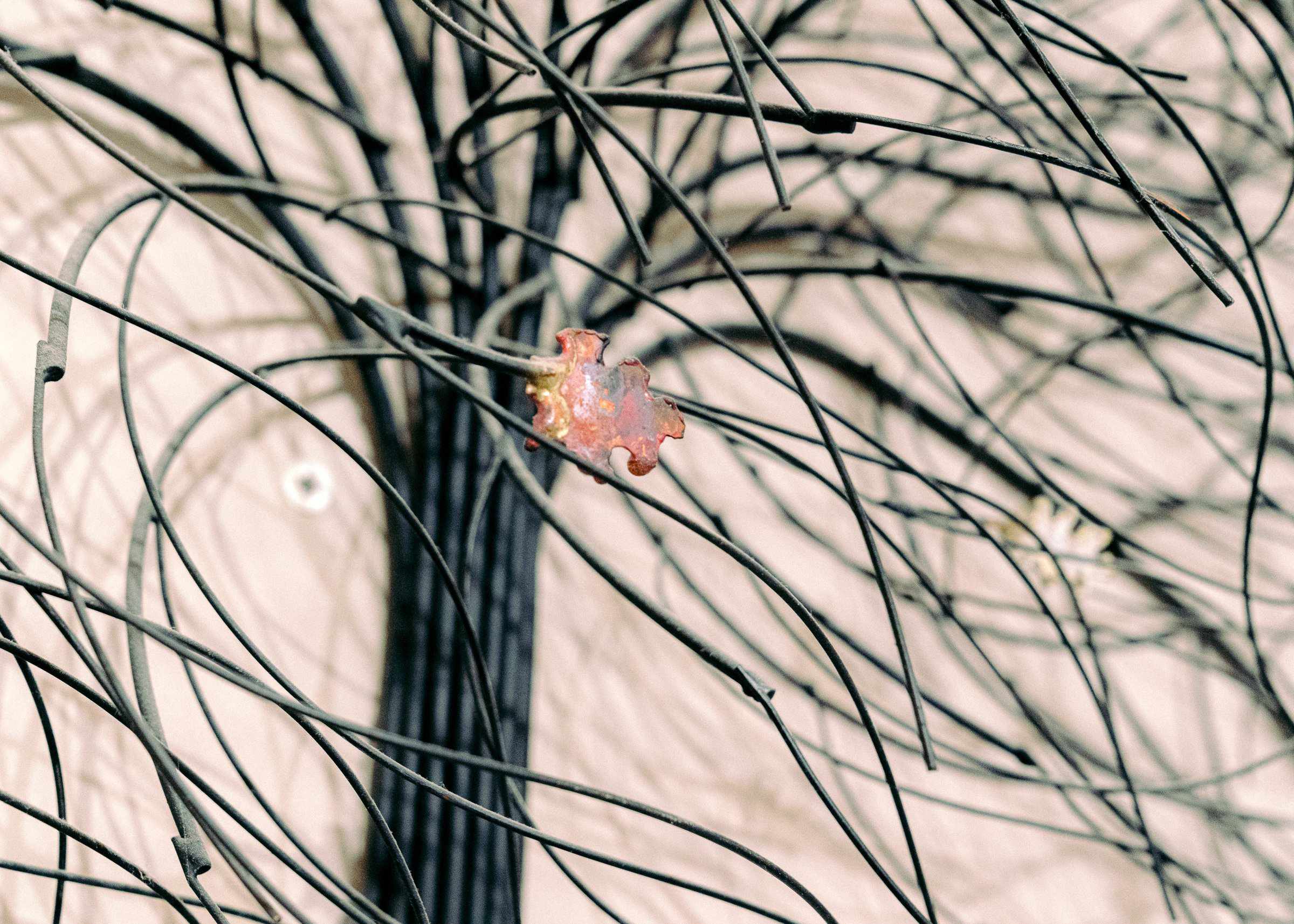 September Tree - Edgecomb Potters