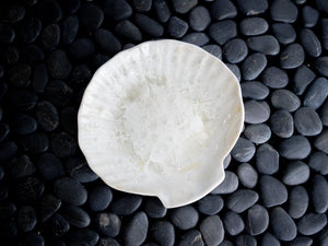 Shell Plate - Edgecomb Potters