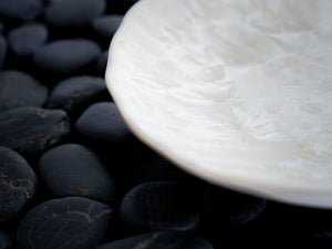 Shell Plate - Edgecomb Potters