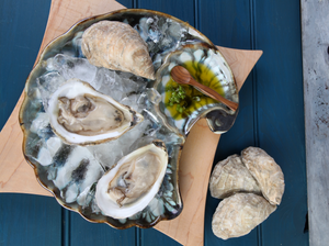 Shell Appetizer Plate - Edgecomb Potters