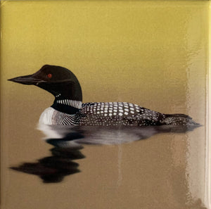 Lehoux Art Magnets - Other Edgecomb Potters