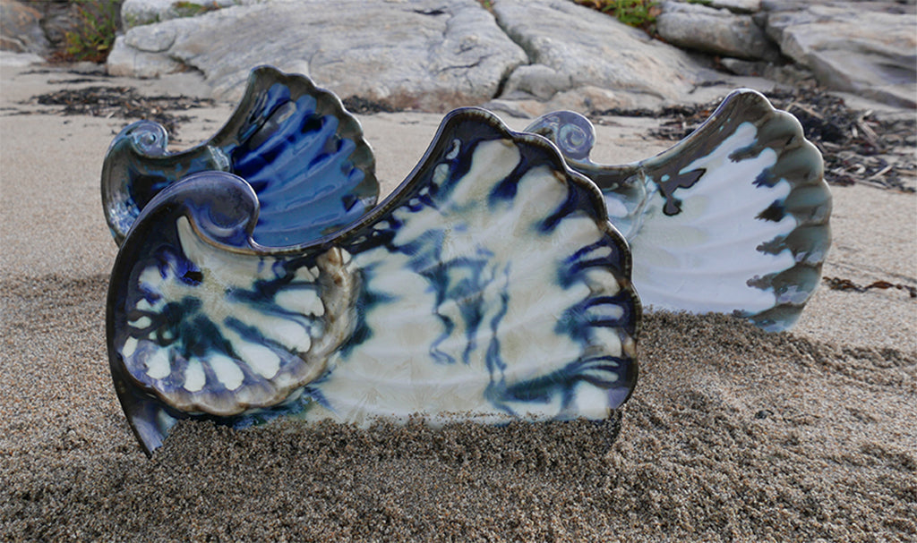 Three shells at the beach