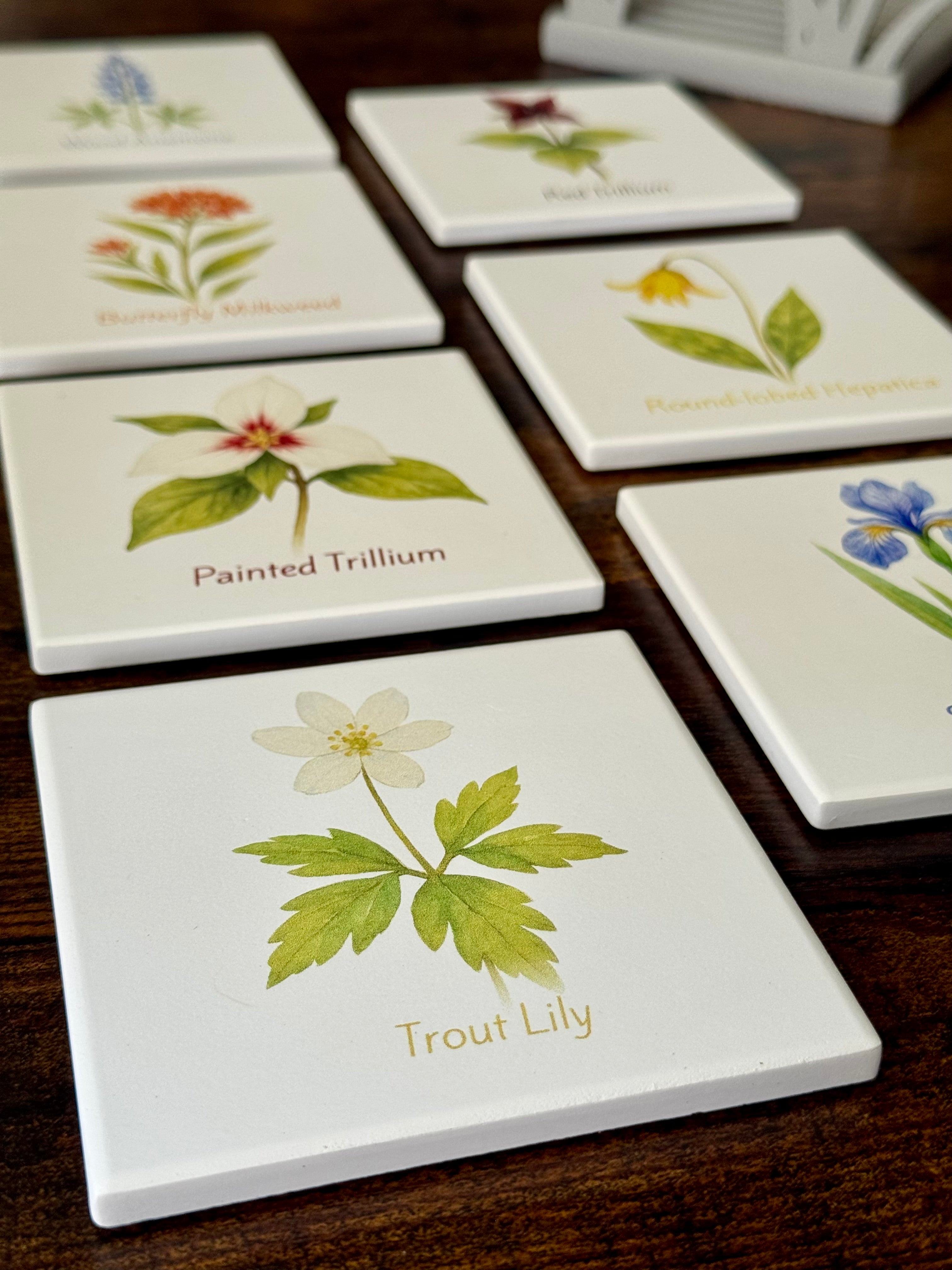 Maine Wildflower Coaster Collection