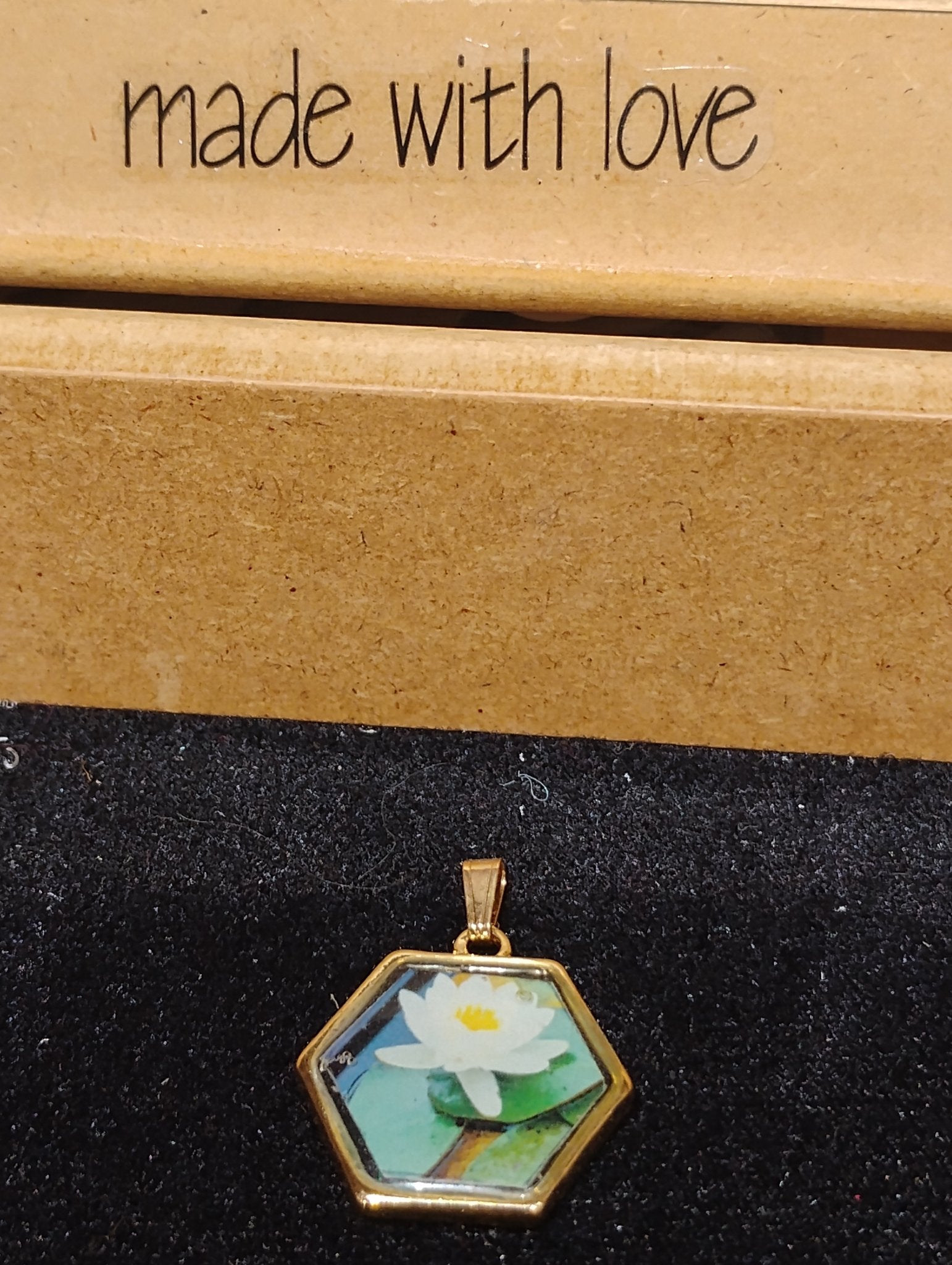 Monarch Butterfly and Chrysalis Photo Pendant