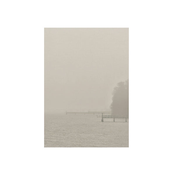 Coastal Fog - Aluminum Print