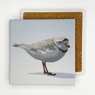 Piping Plover Absorbent Coaster