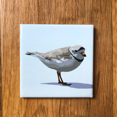 Piping Plover Acrylic Magnet