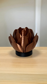 Lotus & Leaf Luminaries