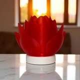 Lotus & Leaf Luminaries