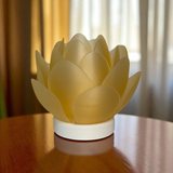 Lotus & Leaf Luminaries
