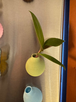 Lil Pumpkin Vase Magnet by Maine Pottery Co. 