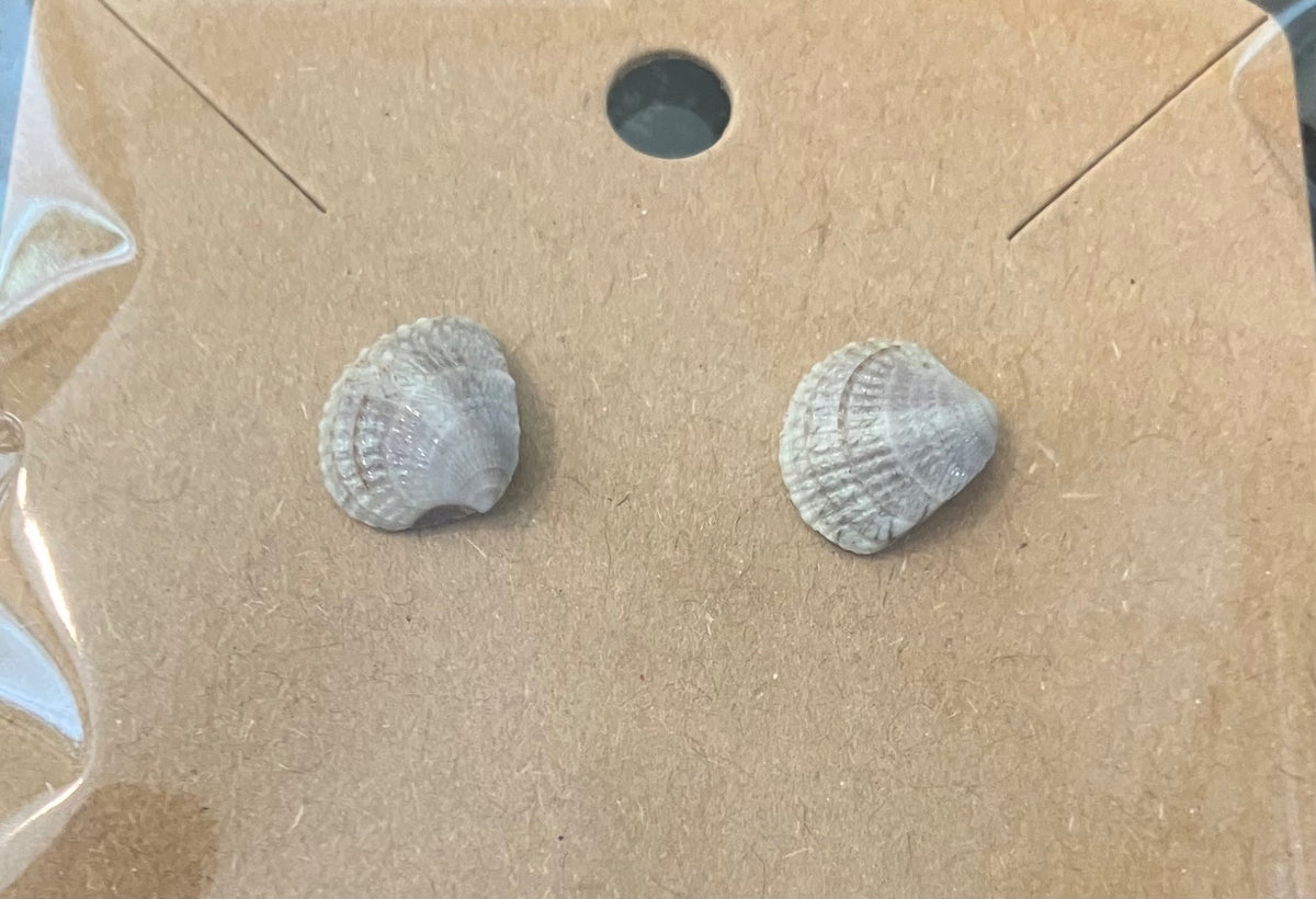 Tiny clam shell earings by Tonya Arnold