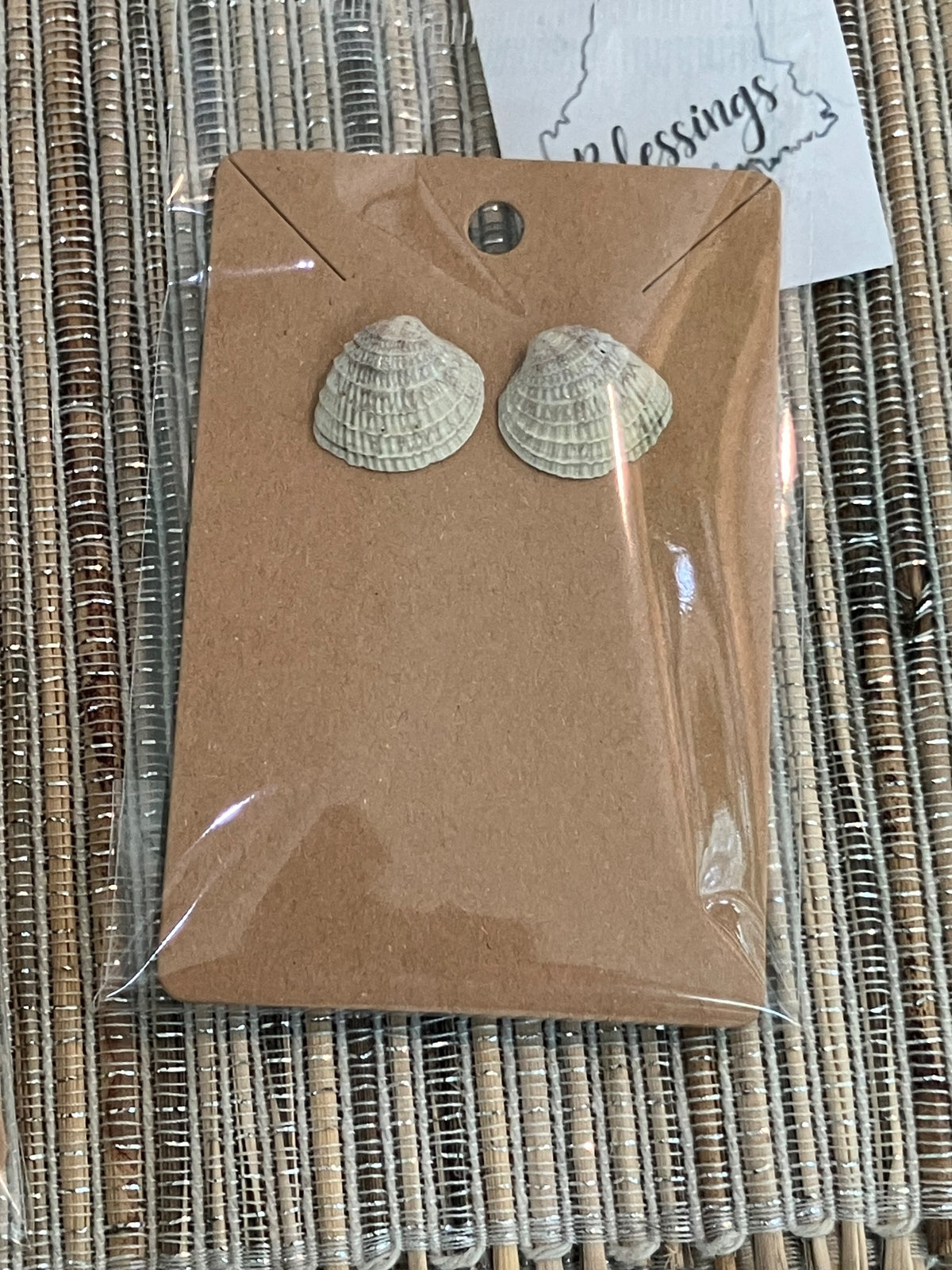 Tiny clam shell earings by Tonya Arnold