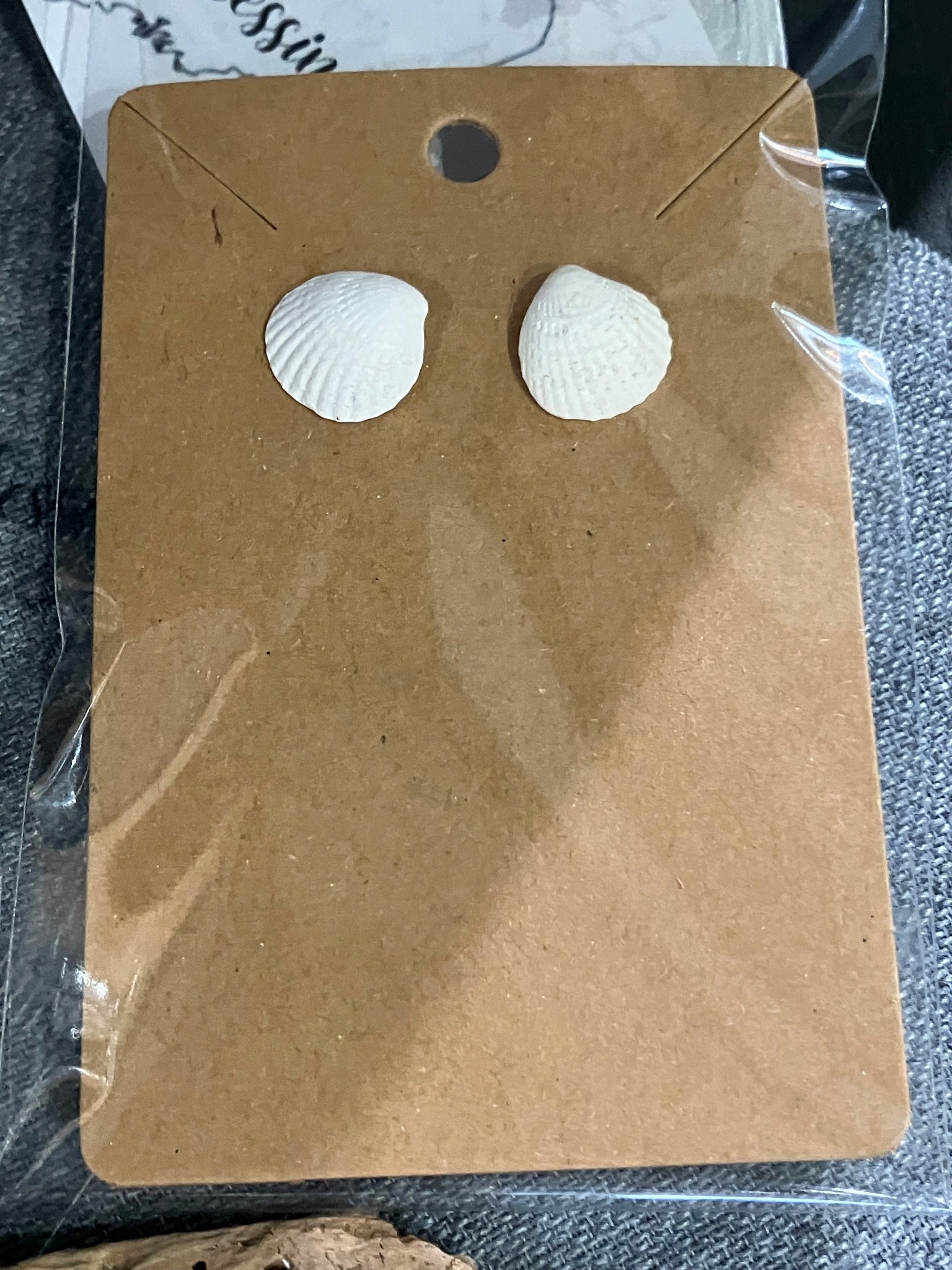 Tiny white spiral shell earrings