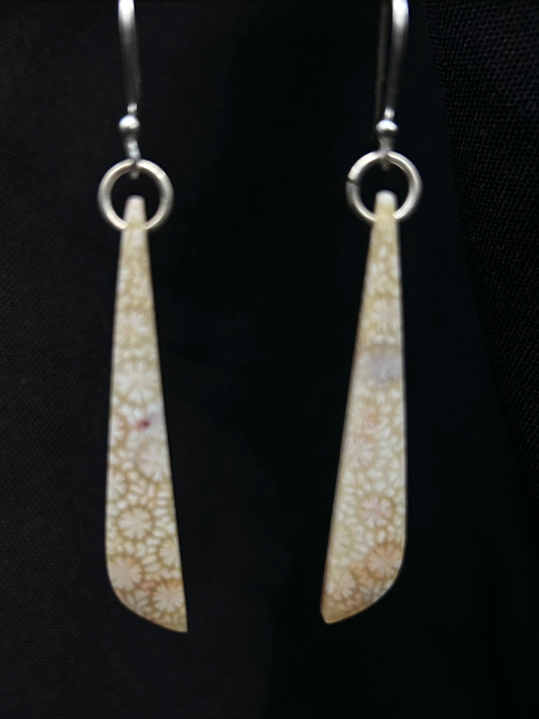Agatized Fossil Coral Drop Earrings